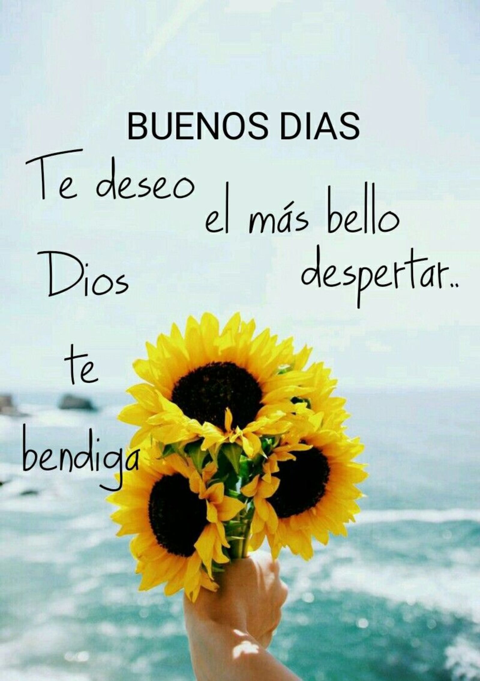 Buenos días te deseo el mas bello despertar...Dios te bendiga