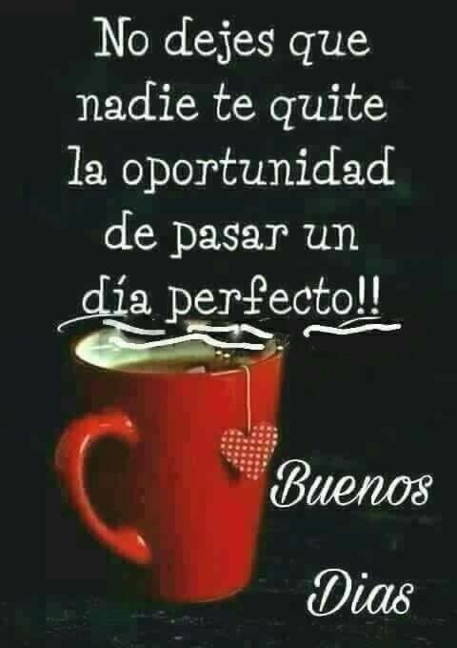 No dejes que nadie te quite la oportunidad de pasar un día perfecto!! Buenos días