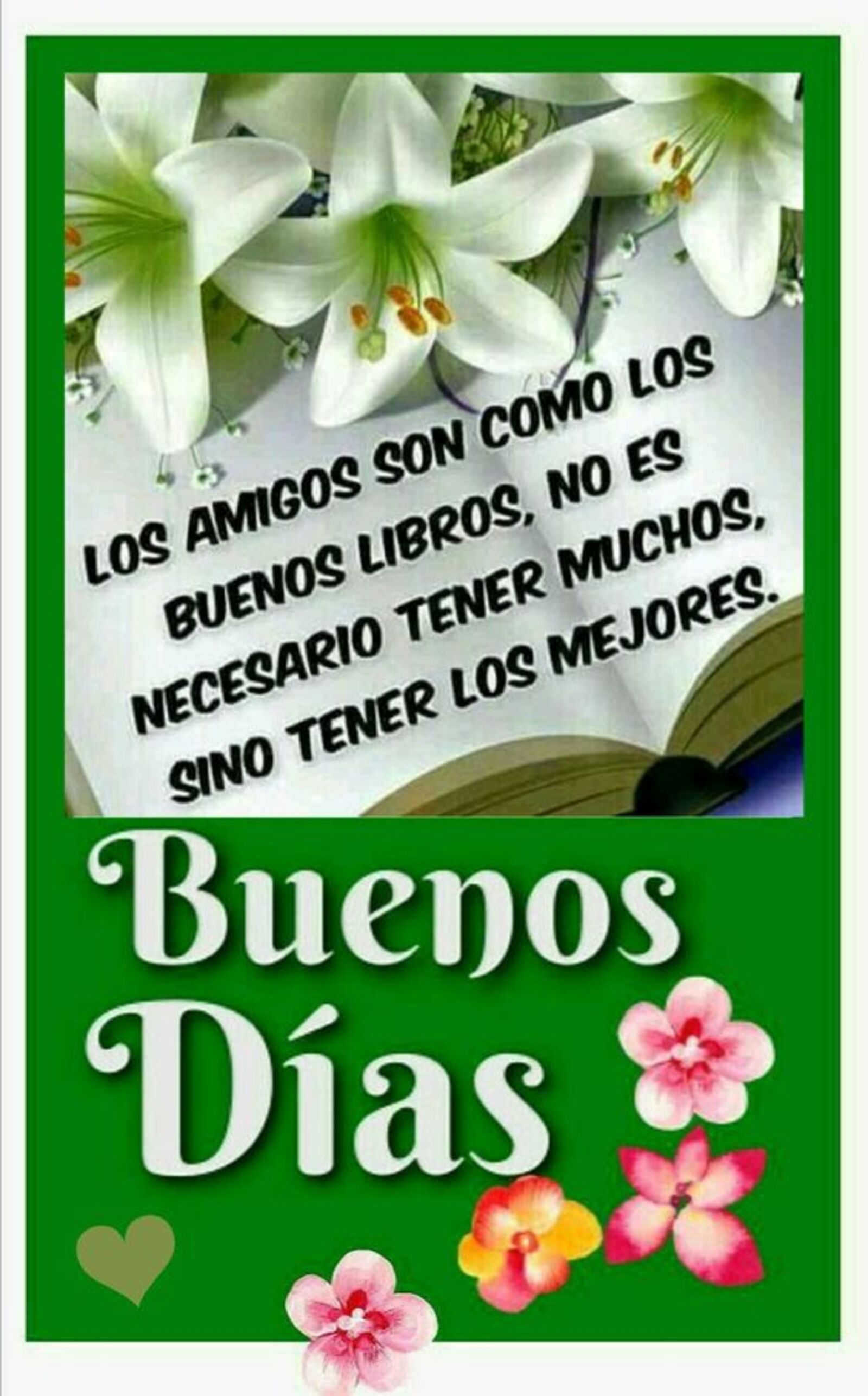 Los amigos son como los buenos libros, no es necesario tener muchos, sino tener los mejores. Buenos días