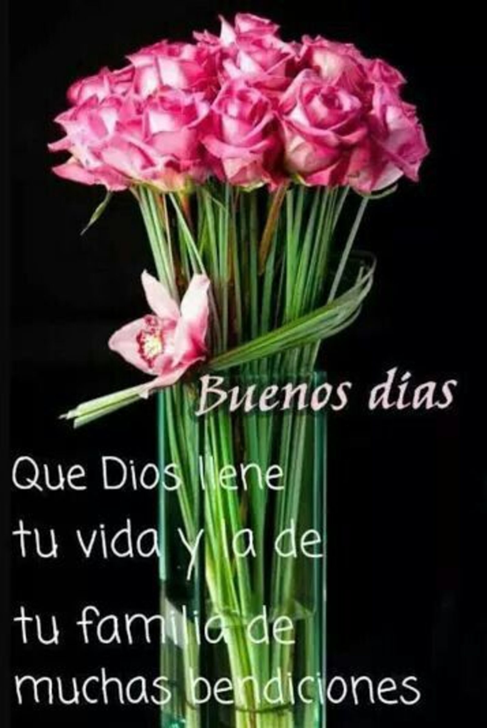 Buenos días que Dios llene tu vida y a de tu familia de muchas bendiciones