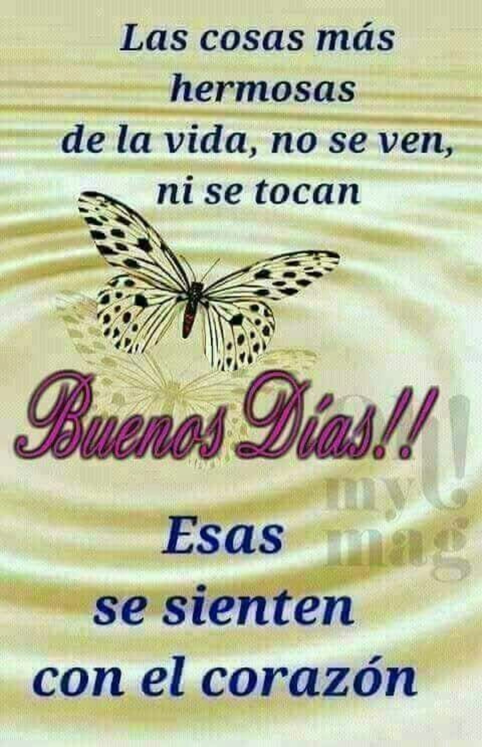 Las cosas más hermosas de la vida, no se ven, ni se tocan...Buenos días!! Esas se sienten con el corazón