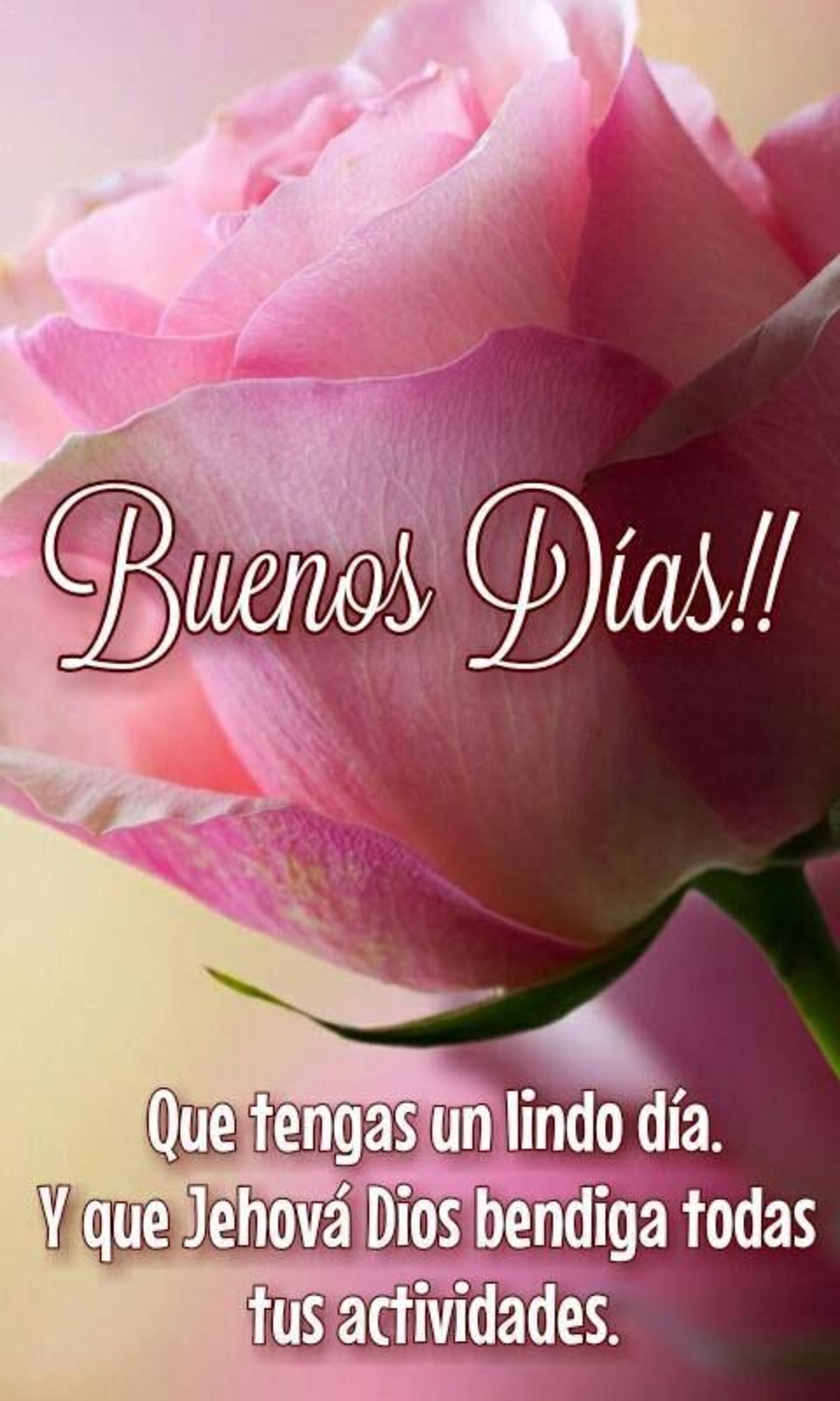 Buenos días!! Que tengas un lindo día. Y que Jehova Dios bendiga todas tus actividades