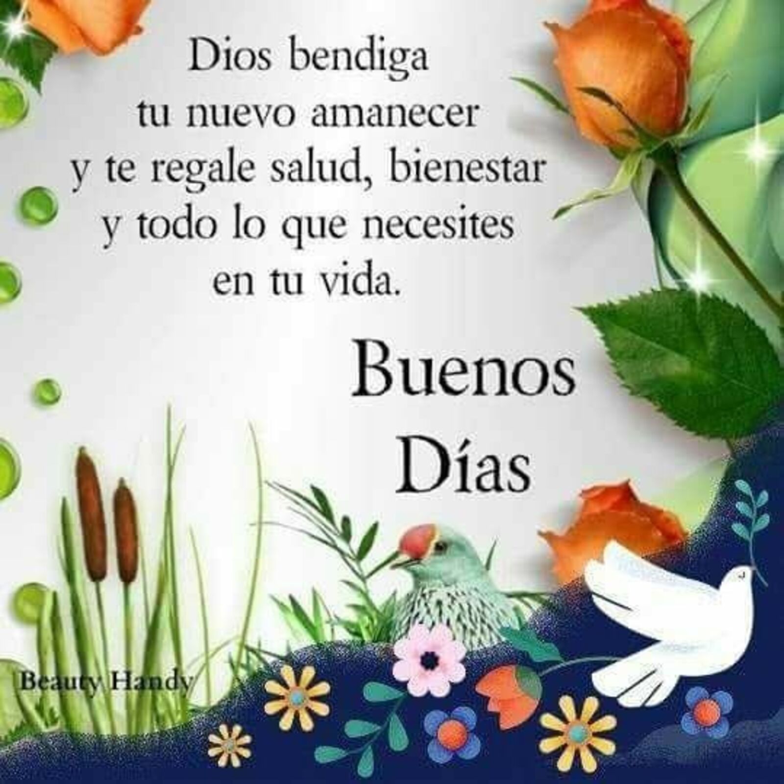 Dios te bendiga tu nuevo amanecer y te regale salud, bienestar y todo lo necesiten en tu vida. Buenos días