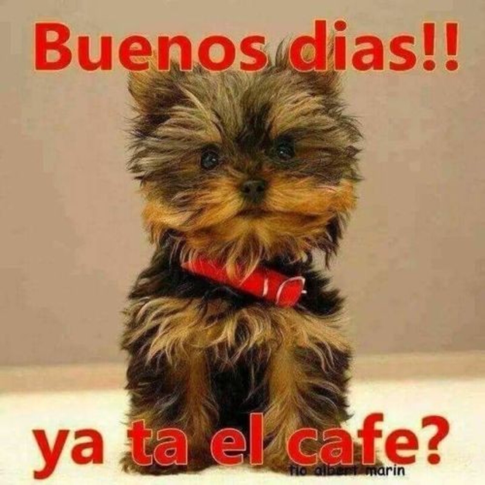 Buenos días!! ya ta el café?