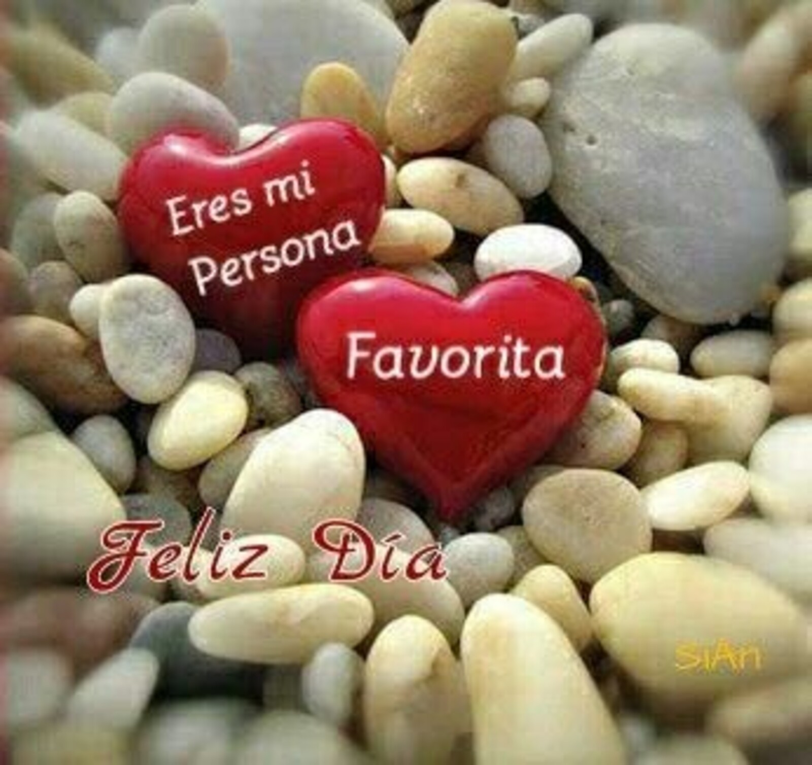 Eres mi persona favorita.. feliz día