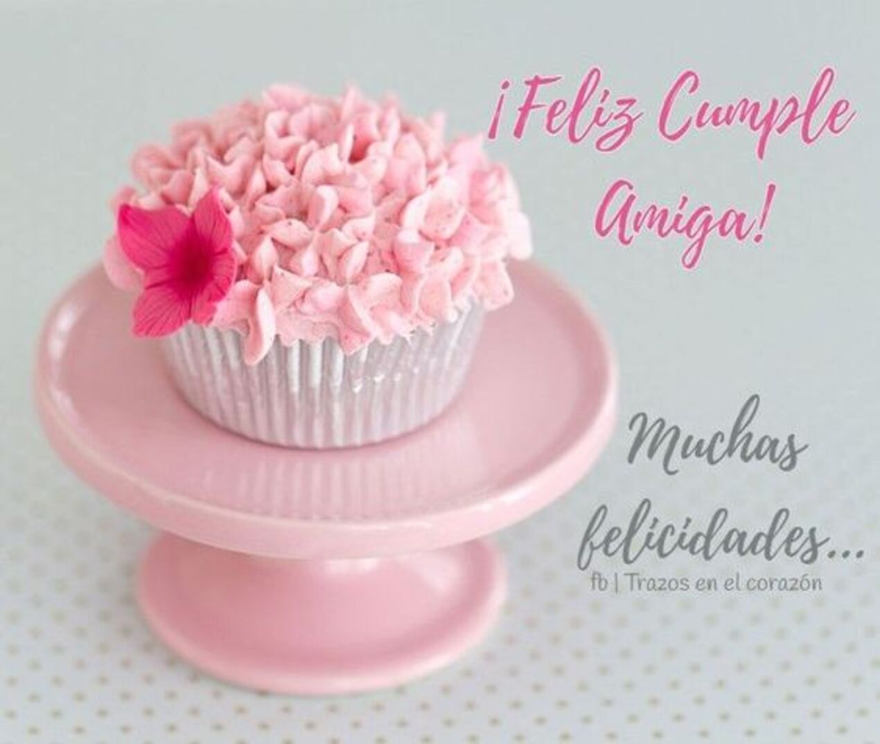 Feliz cumple amiga! muchas felicidades