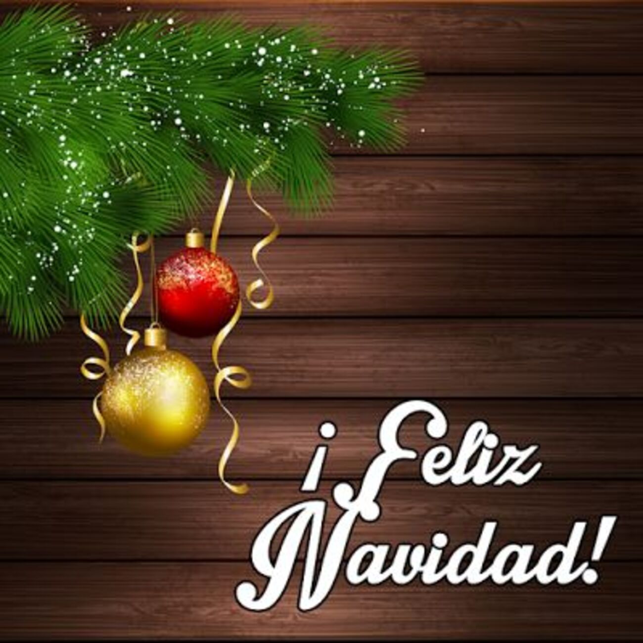 Feliz Navidad!