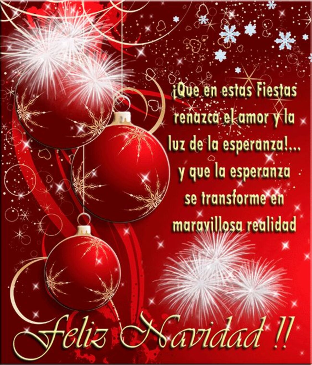 Que en esta fiestas renazca el amor y la luz de la esperanza...Y que la esperanza se transforme en maravillosa realidad. Feliz Navidad!