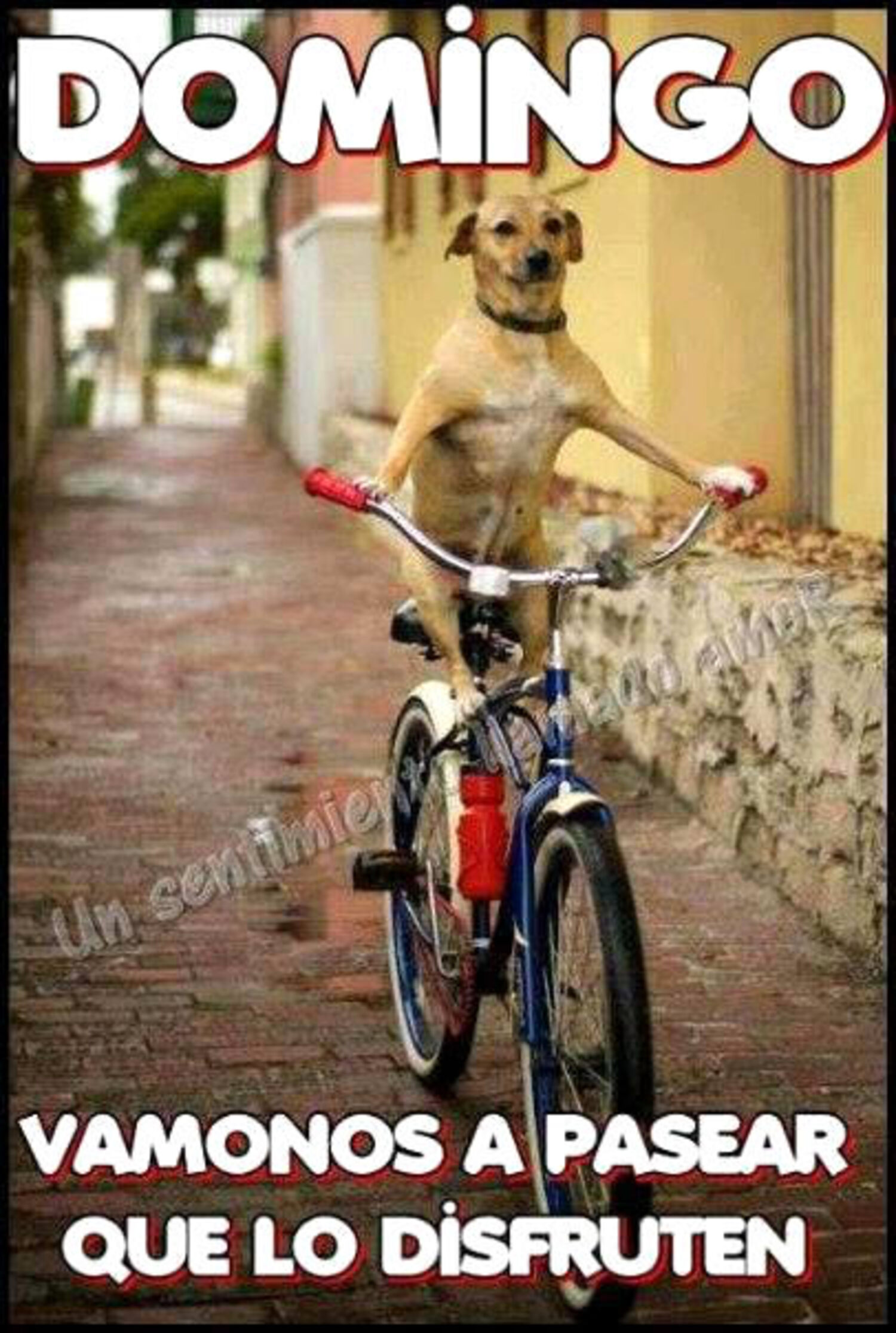 Lovely 'Happy Sunday' image designed for WhatsApp sharing