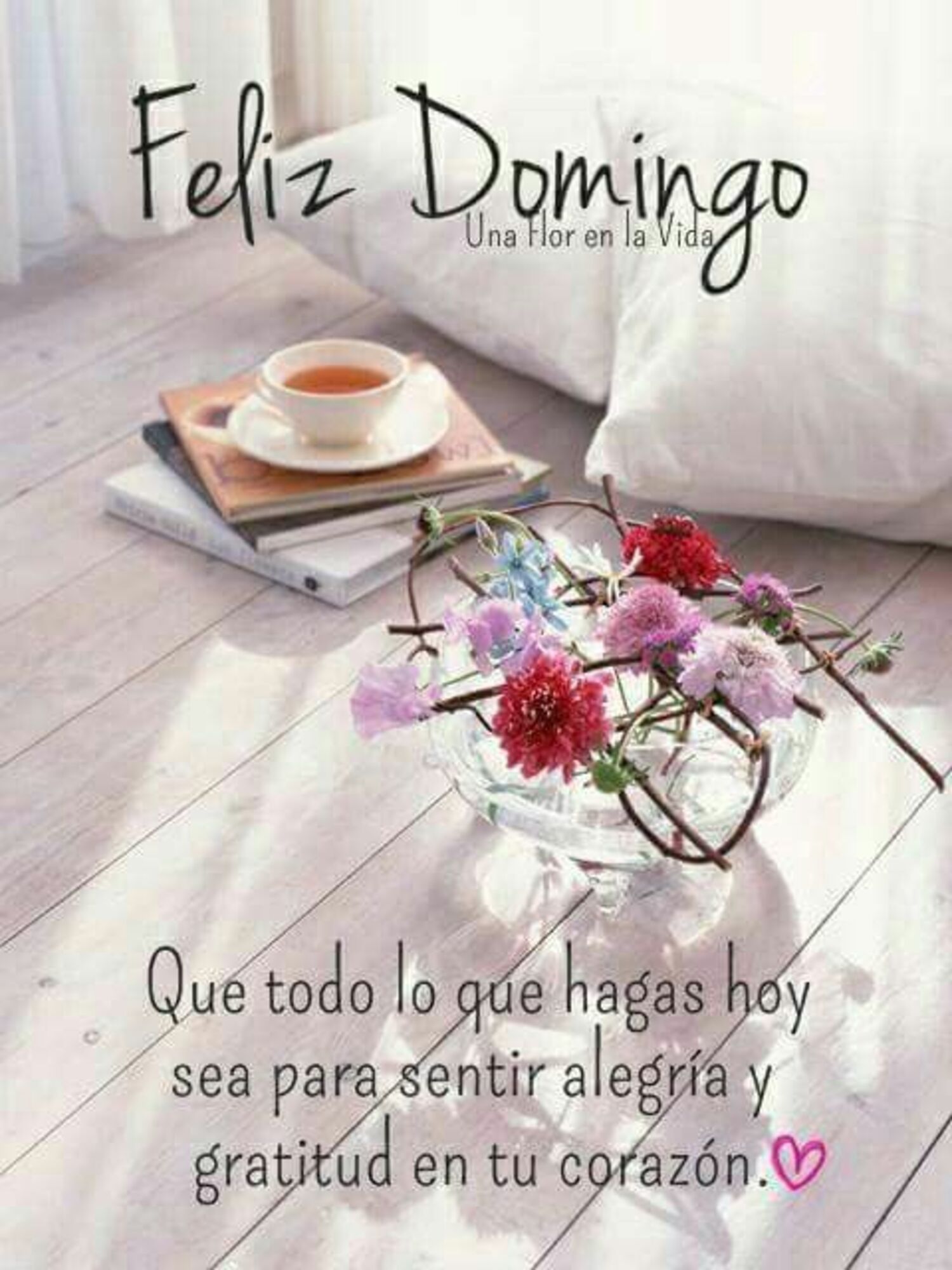 Feliz domingo que todo lo que hagas hoy sea para sentir alegria y gratitud en tu corazon