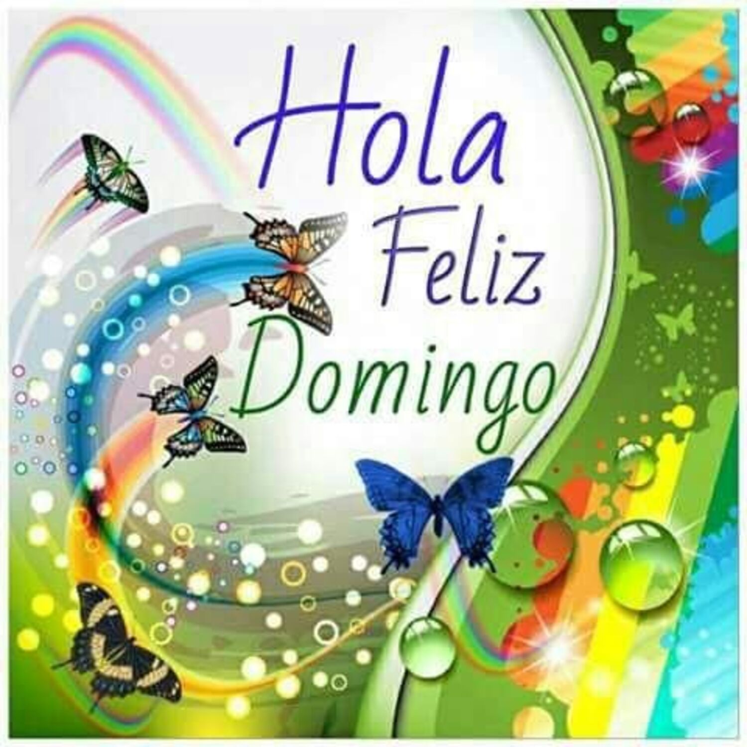 Hola feliz domingo