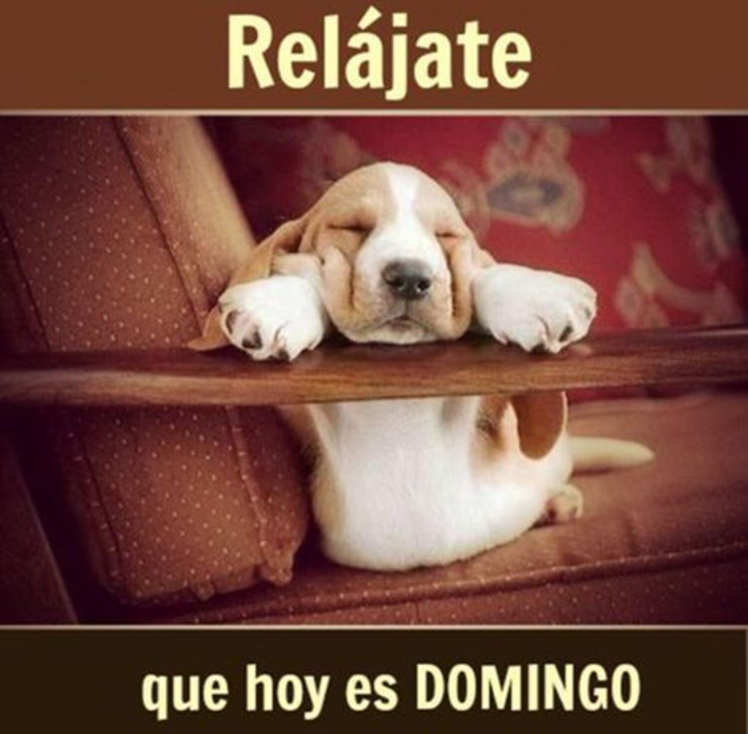 Relajate que hoy es domingo