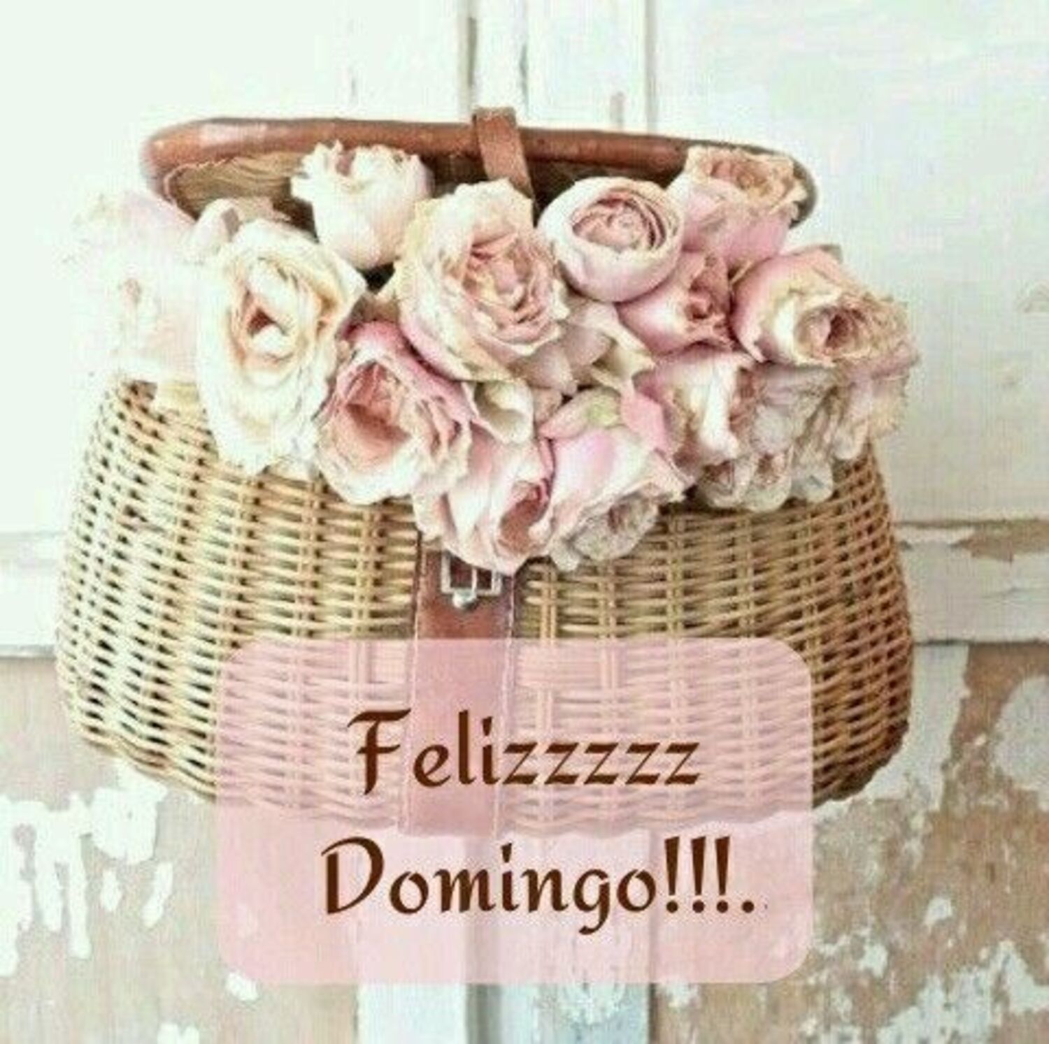 Feliz domingo