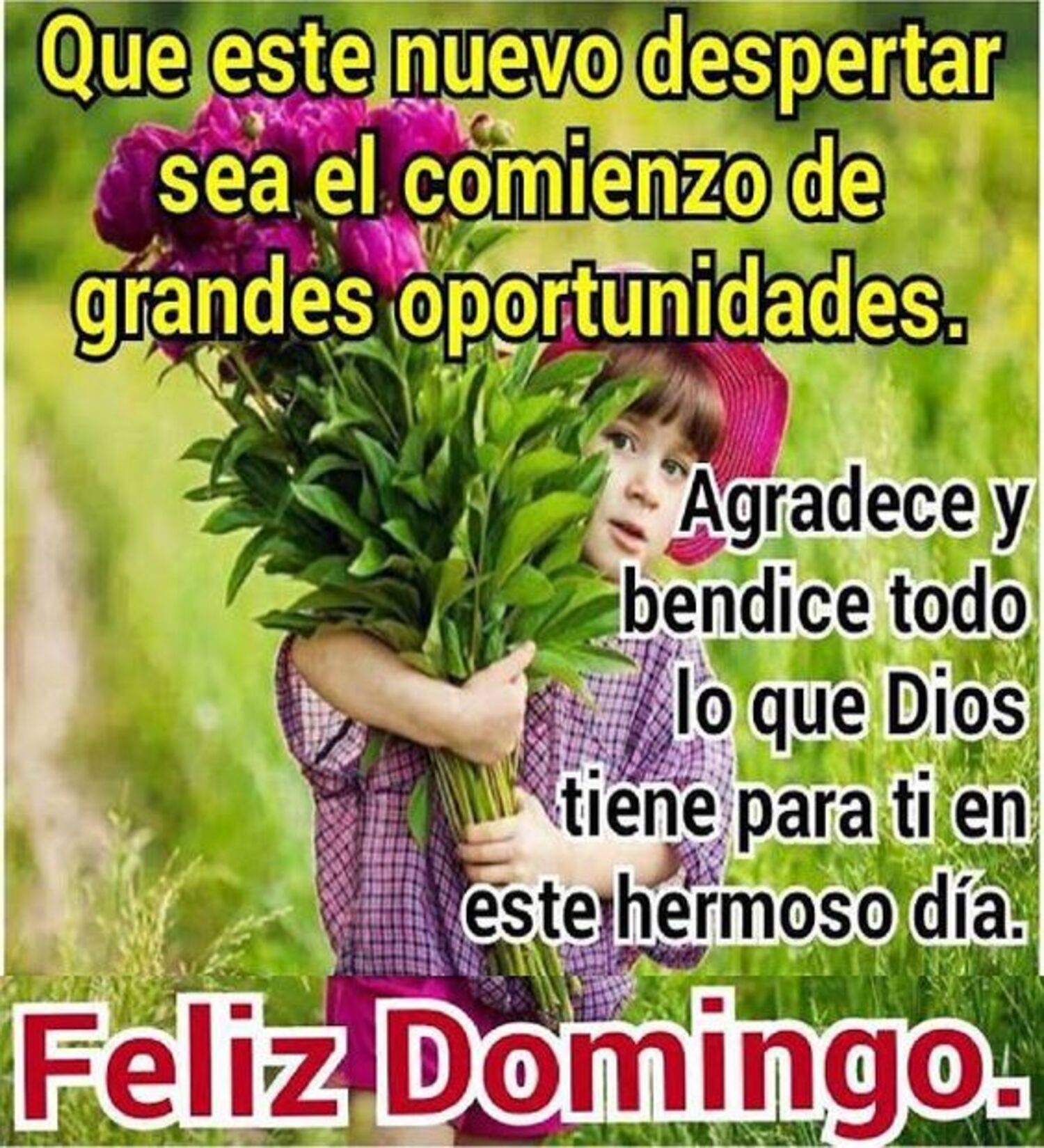 Feliz domingo con hermosas frases