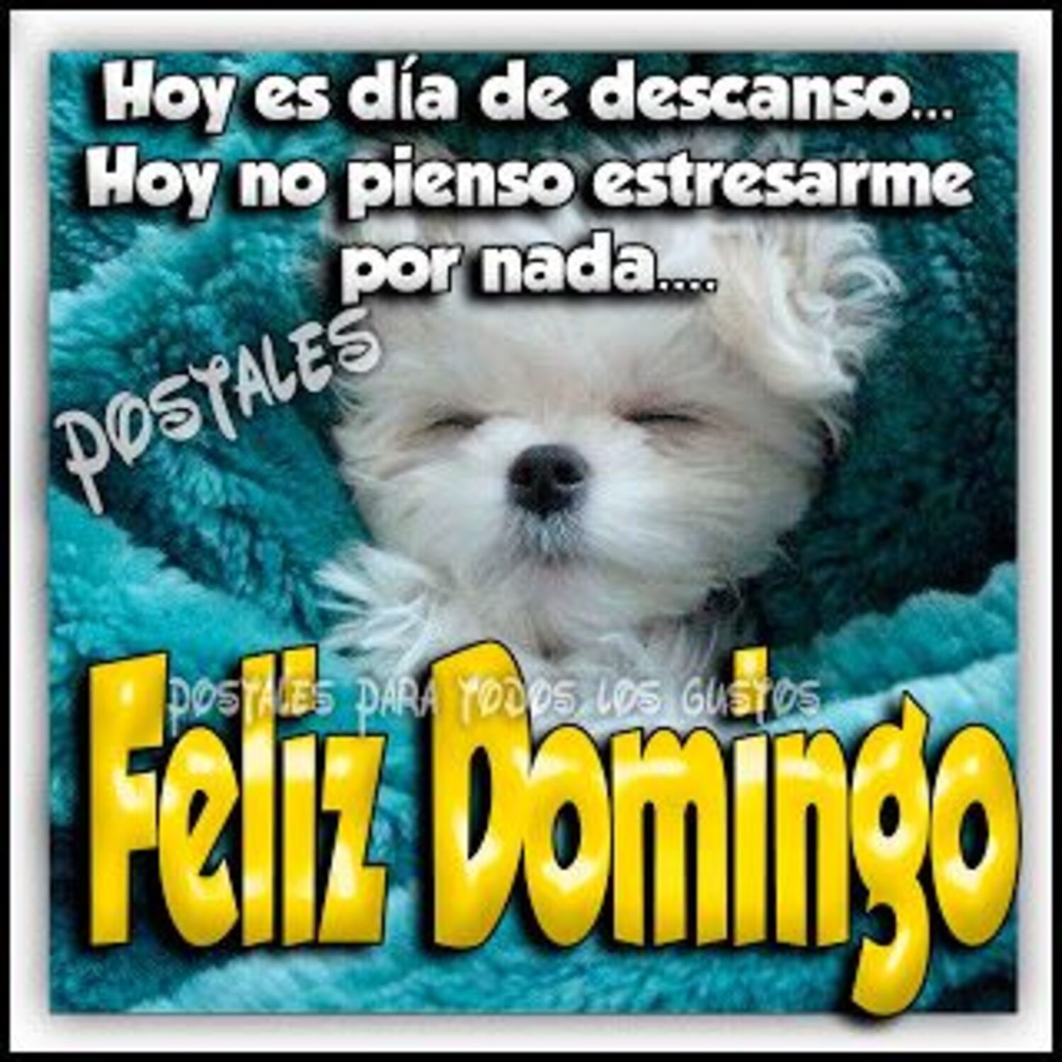 Hoy es día de descanso... hoy no pienso estresarme por nada... Feliz domingo