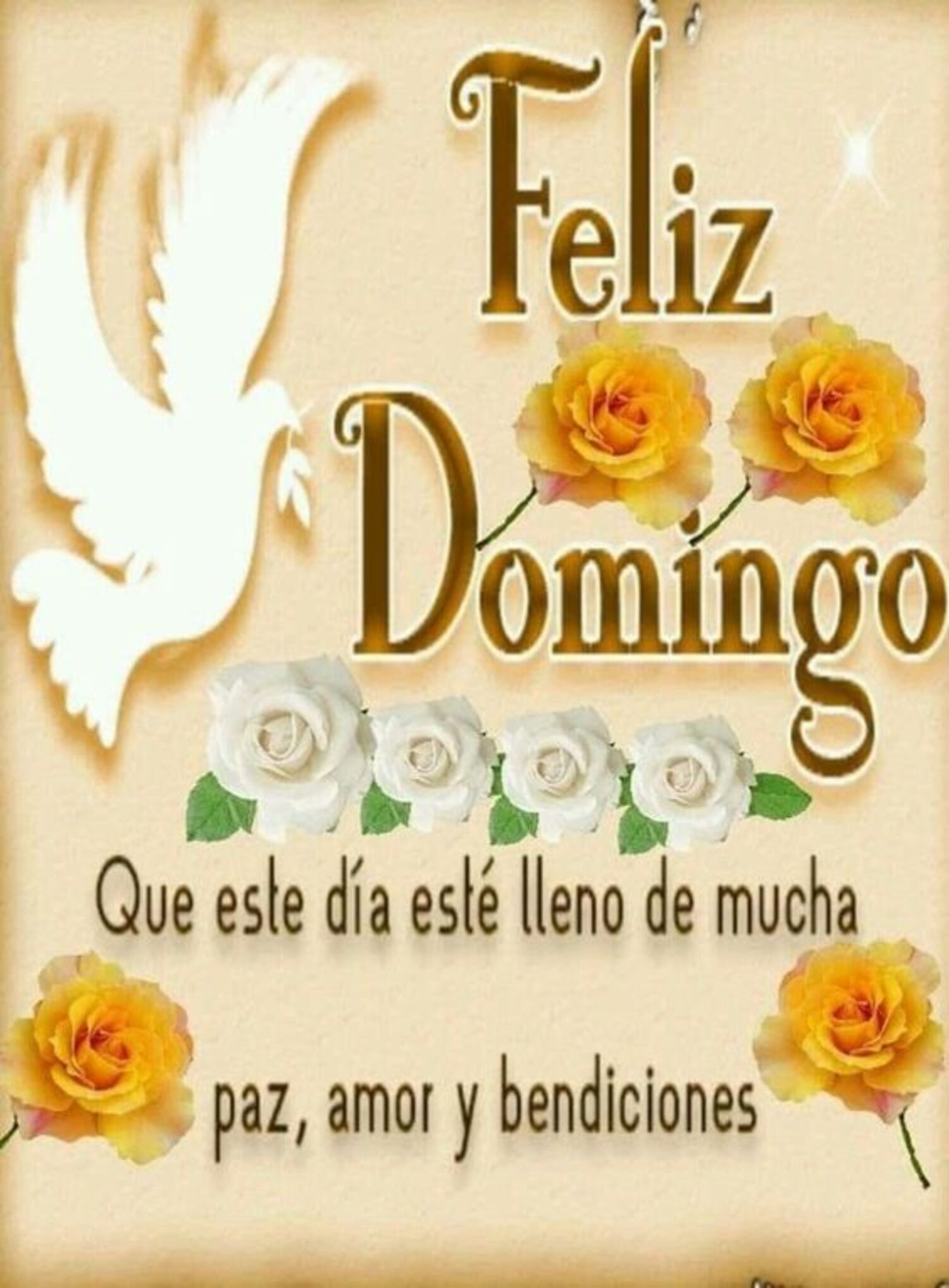 Feliz domingo que este día esté lleno de mucha paz, amor y bendiciones