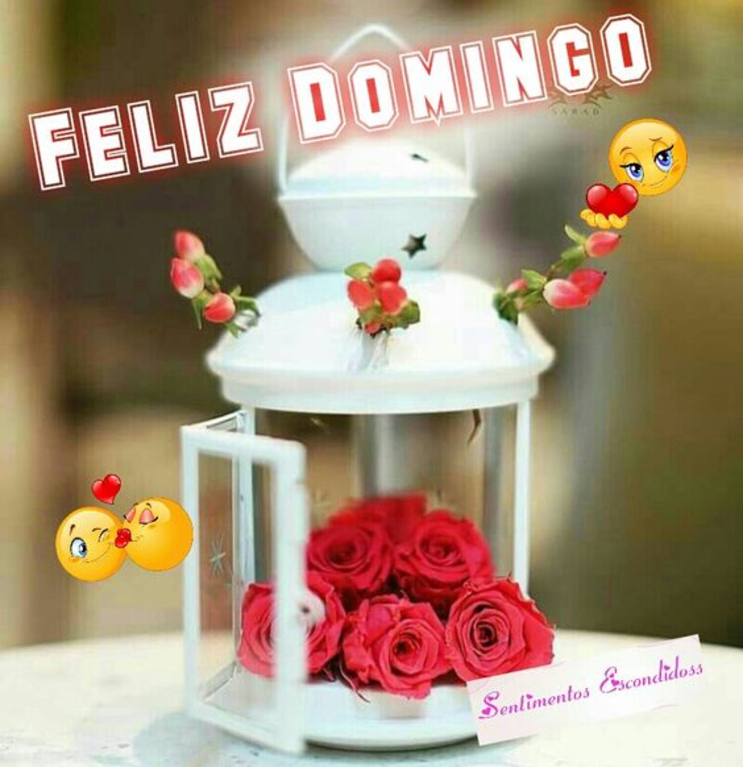 Feliz domingo