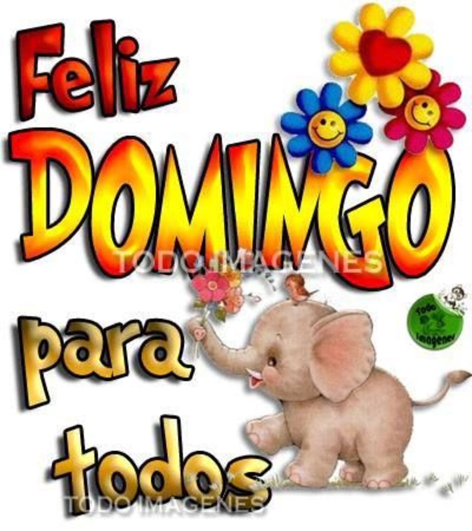 Feliz domingo para todos