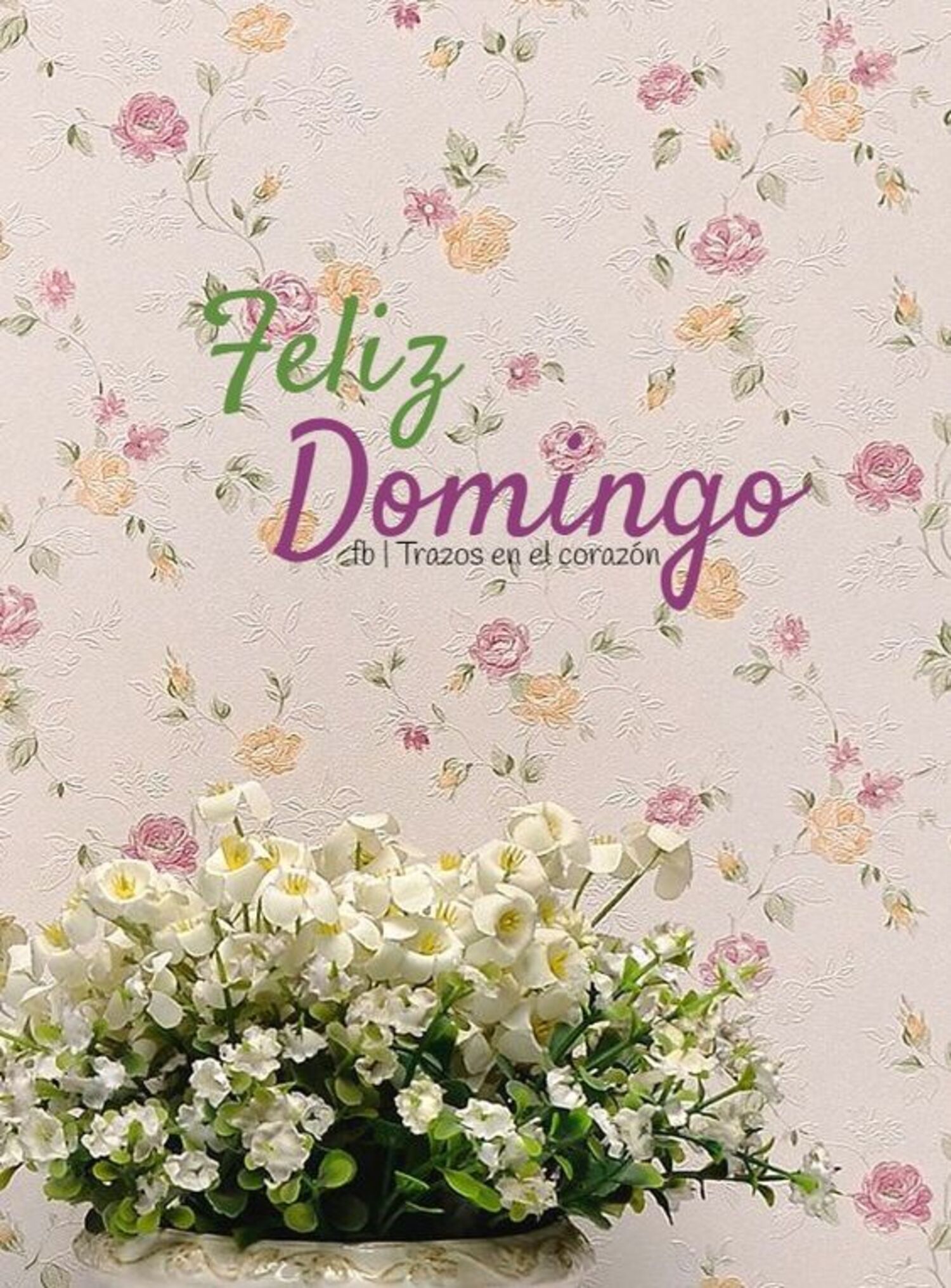 Feliz domingo