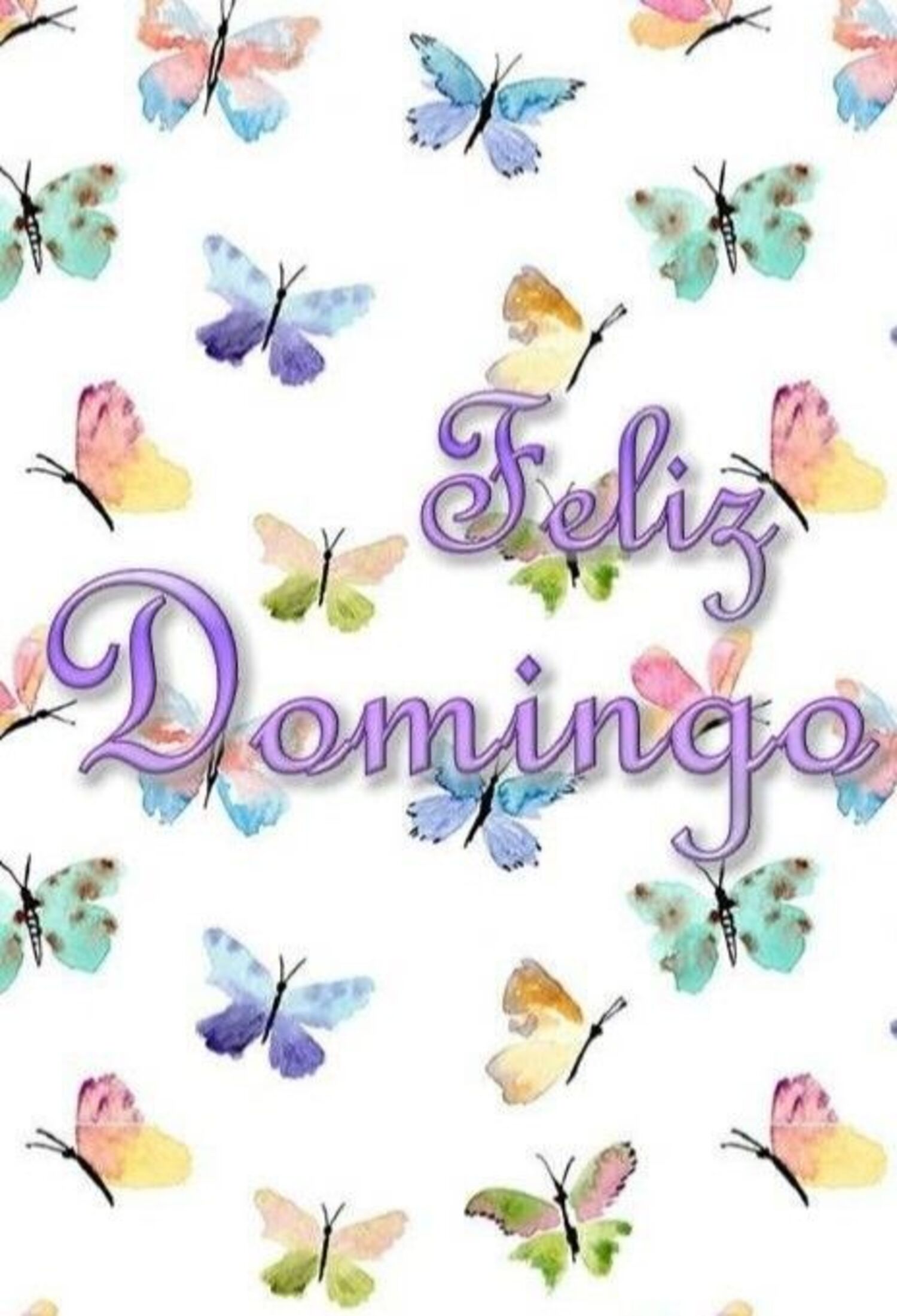 Feliz domingo