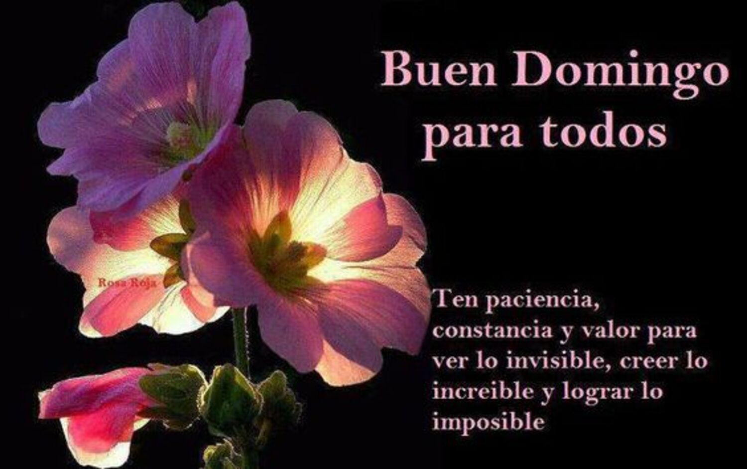 Buen domingo para todos ten paciencia constancia y valor para ver lo invisible, creer lo increible y lograr lo imposible