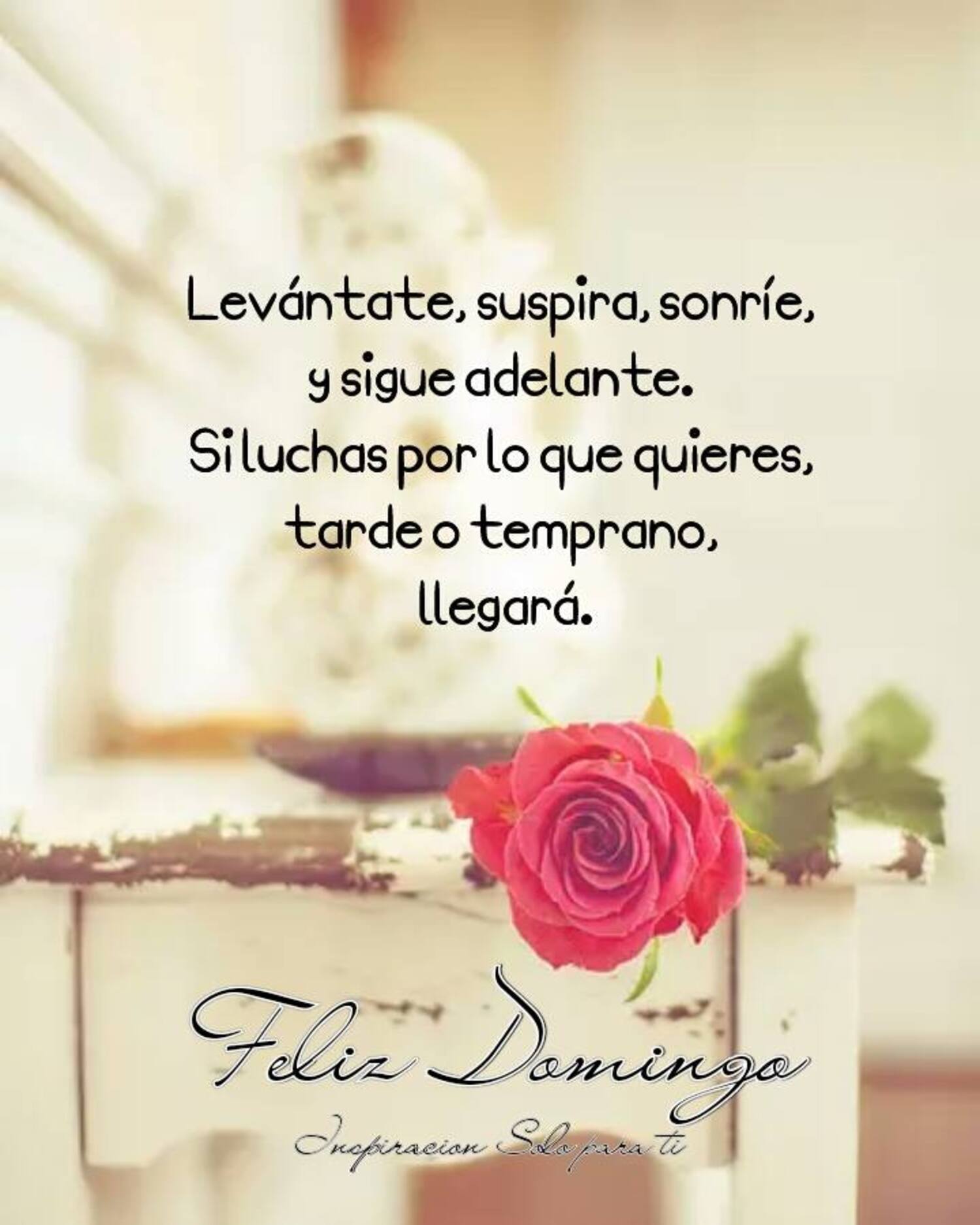 levantáte , suspira, sonríe, y sigue adelante. Si luchas por lo que quieres, tarde o temprano, llegerá. Feliz domingo