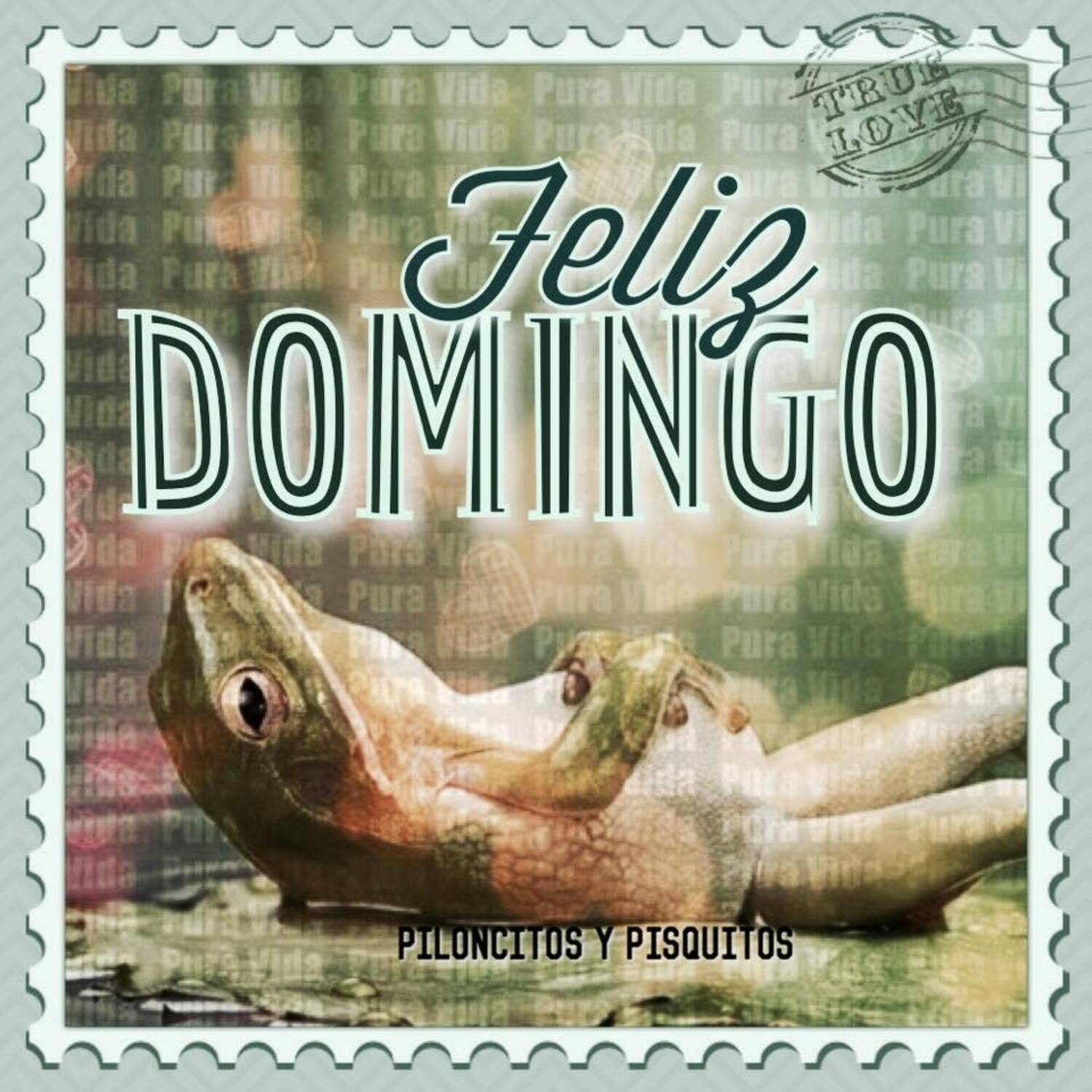 Feliz domingo