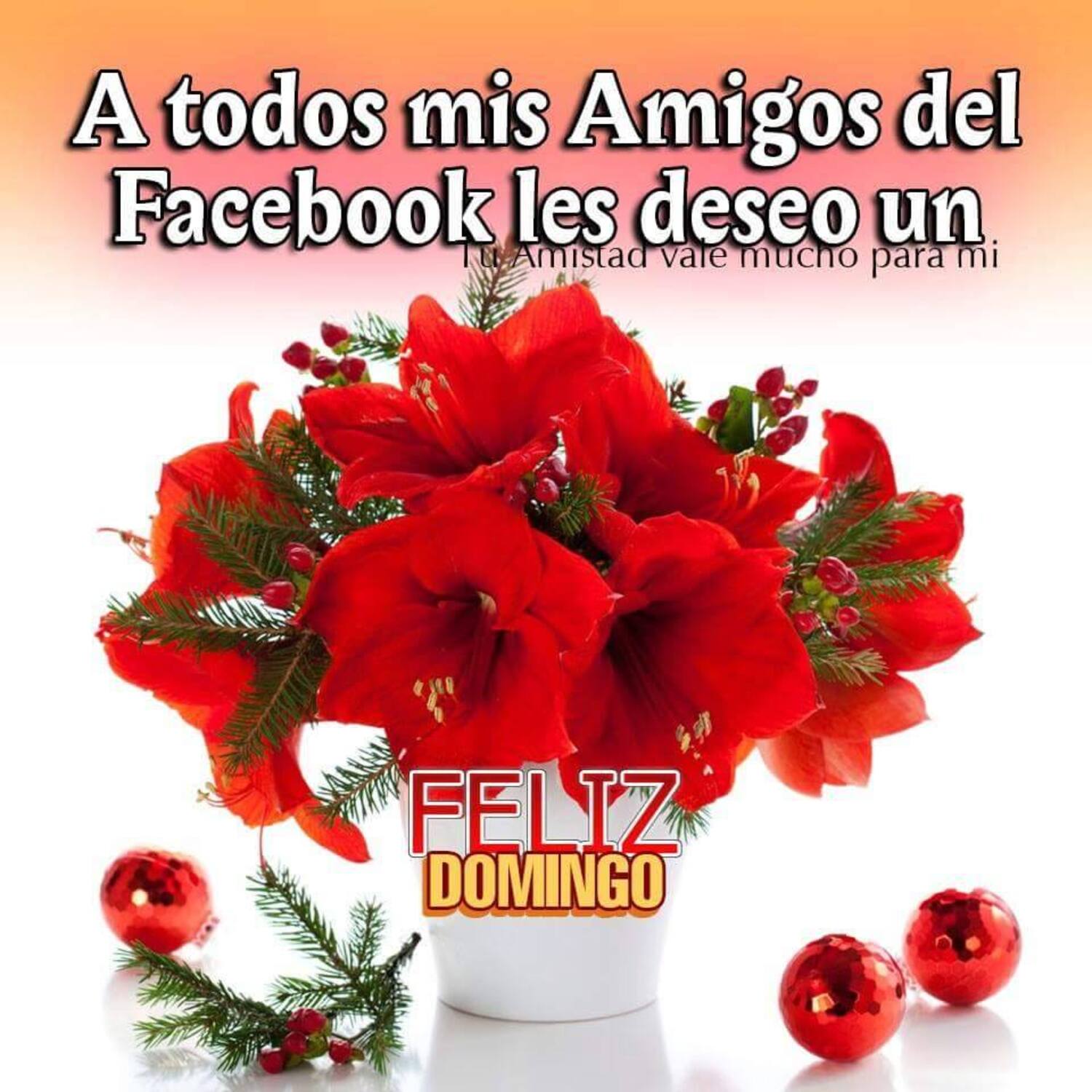 A todos mis amigos del facebook les deseo un feliz domingo