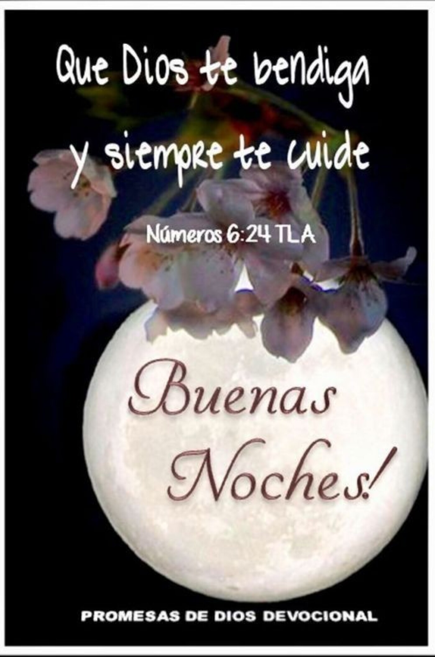 Imagenes De Buenas Tardes De Dios, Buenas Tardes Imagenes Frases Y Tarjetas 2021 Para Dedicar Saludar Y Compartir - #feliz2021 para todos y que este nuevo año sea realmente un año de bien y de dicha para ti.