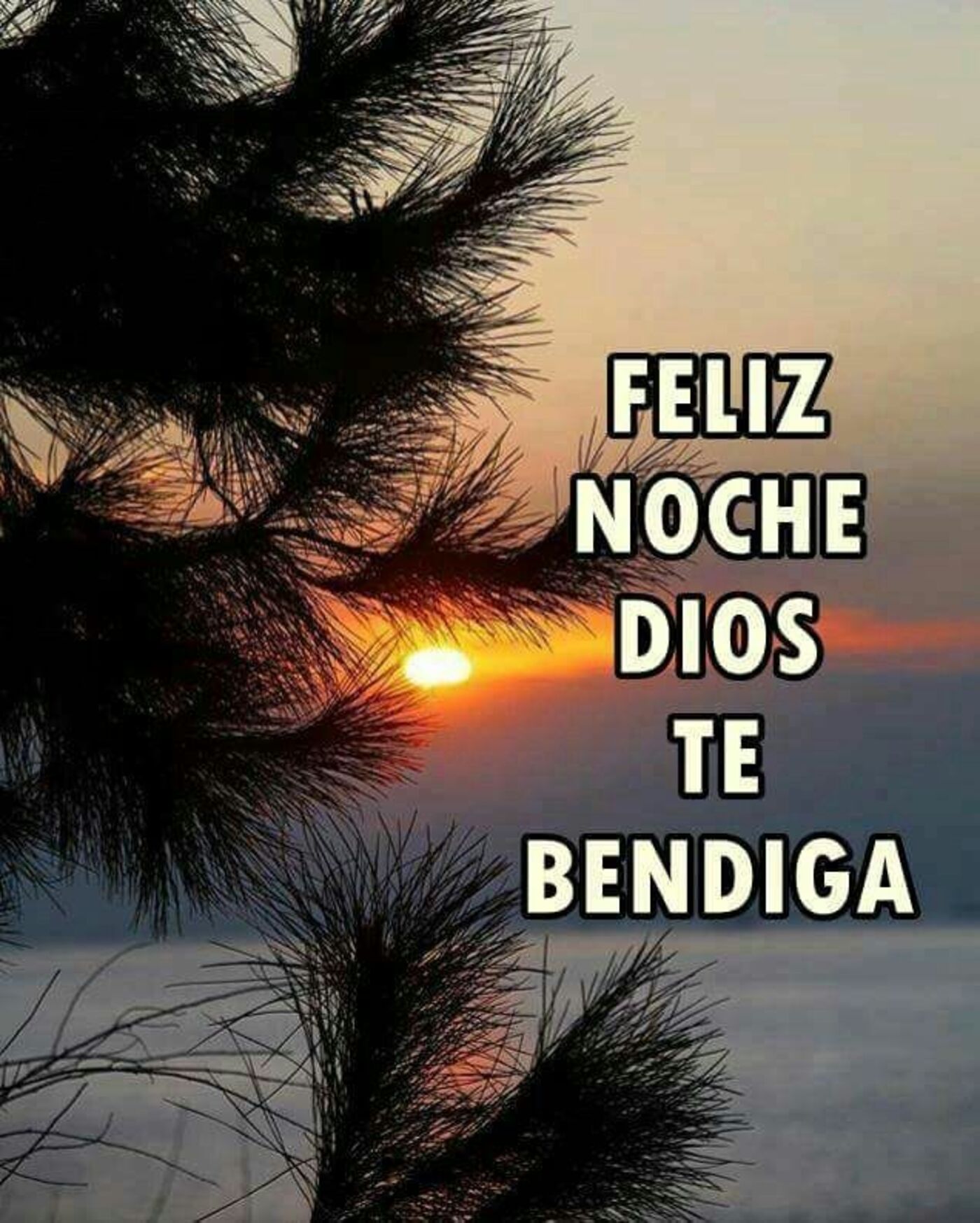 Feliz noche Dios te bendiga