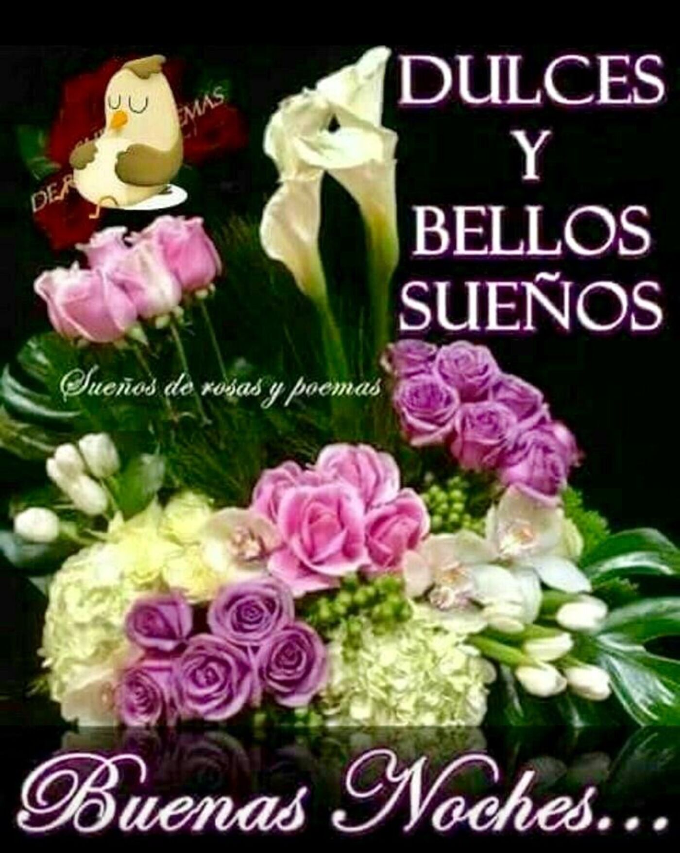 Dulces y bellos sueños...Buenas noches