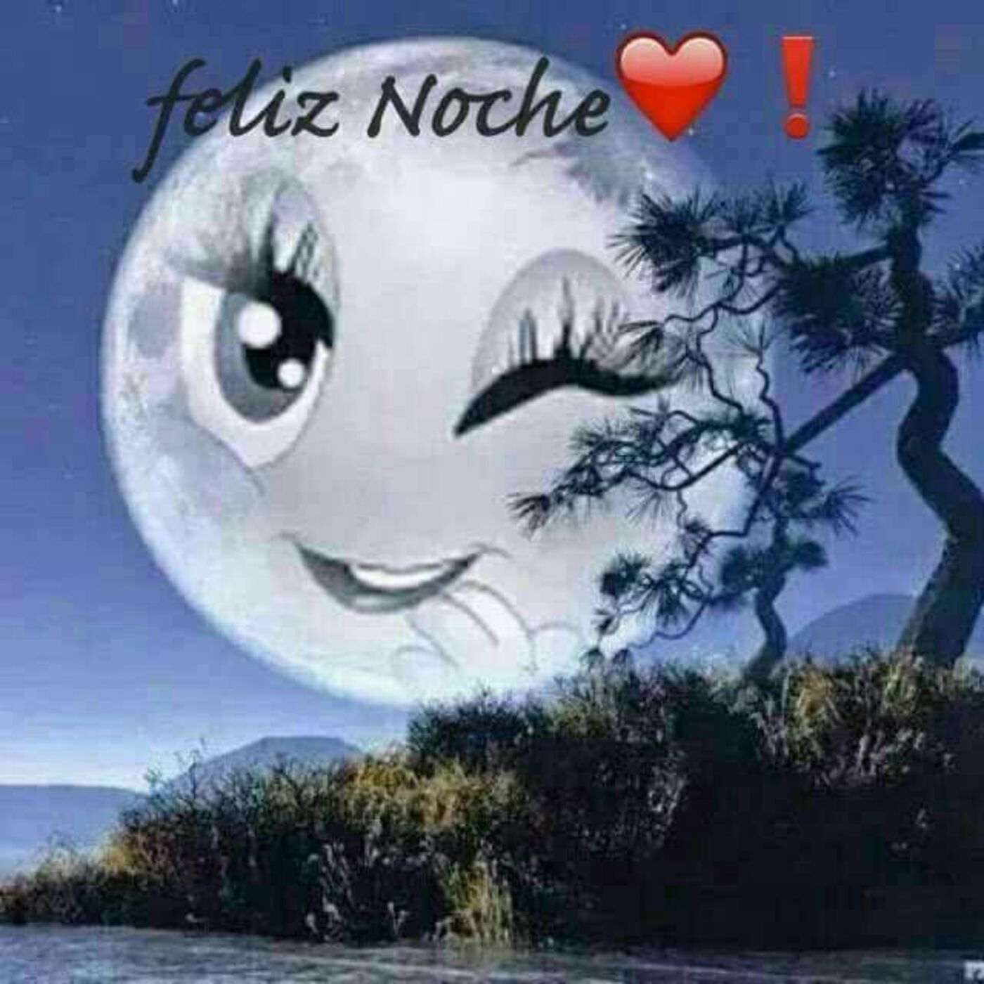 Feliz Noche