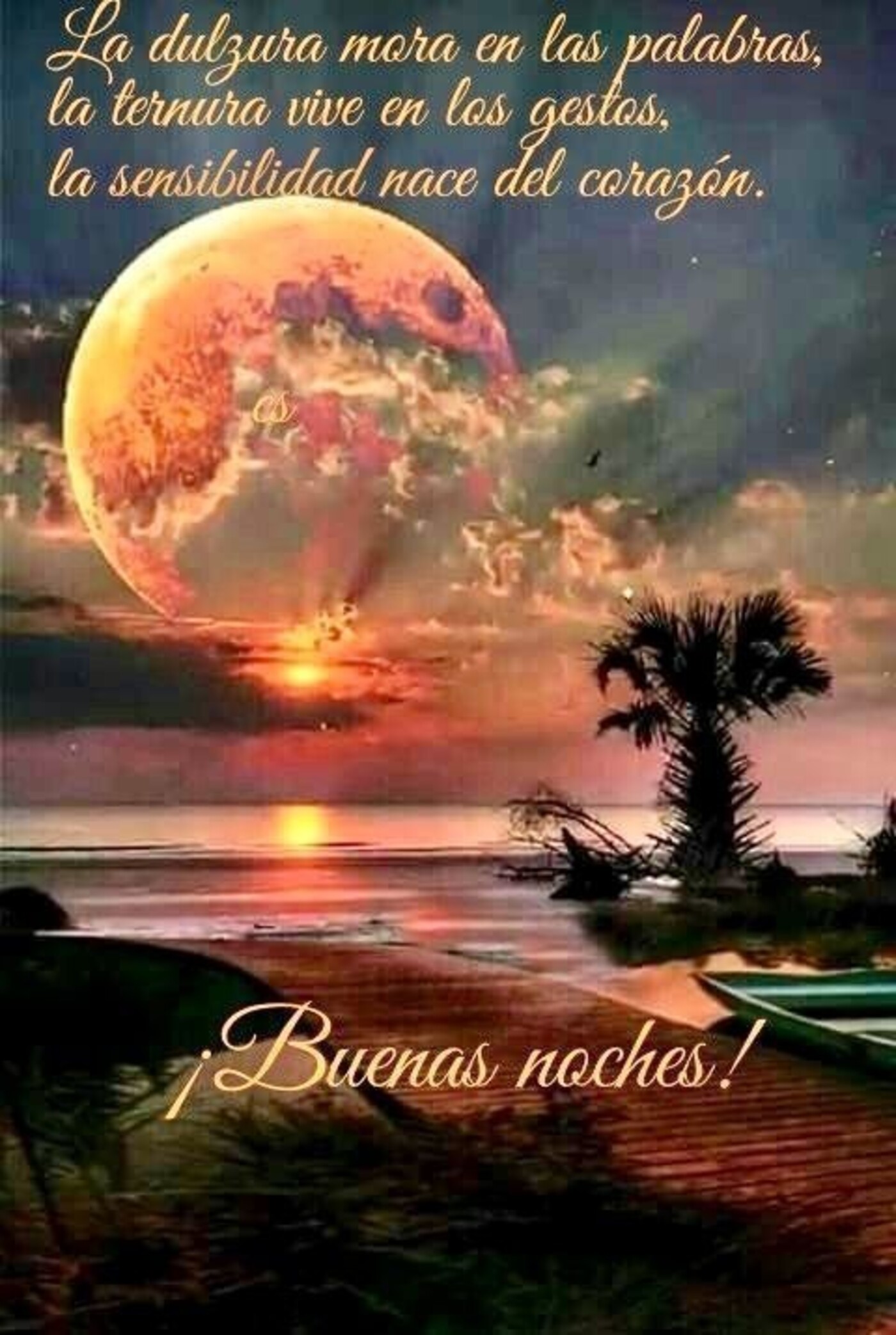 La dulzura mora en las palabras, la ternura vive en los gestos, la sensibilidad nace nel corazón. Buenas Noches!!