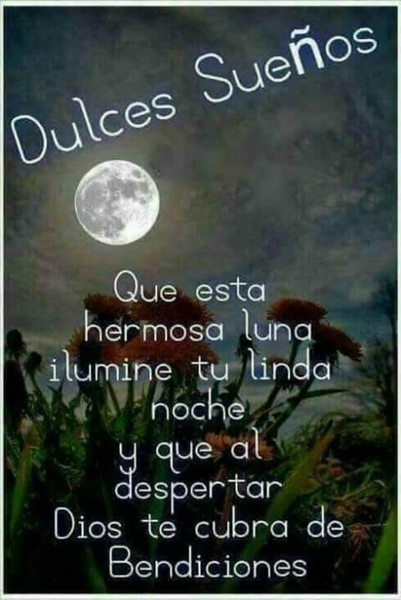 Dulces sueños que esta hermosa luna ilumine tu linda noche y que al despertar Dios te cubra de bendiciones!!