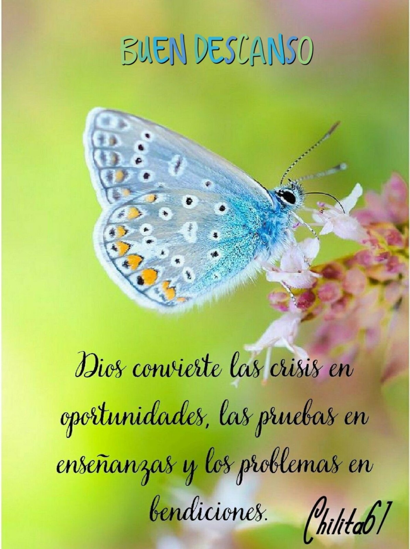 Buen descanso Dios convierte las crisis en oportunidades, las pruebas en  enseñanzas y los problemas en bendiciones.