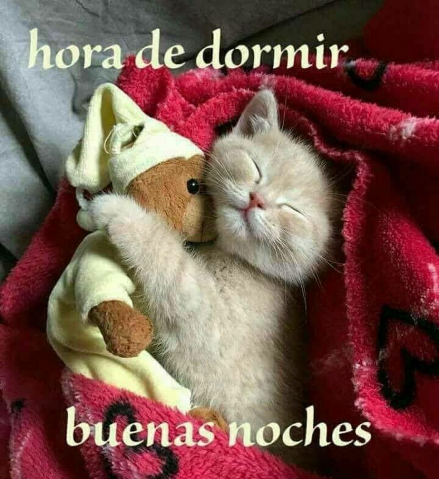 Hora de dormir buenas noches