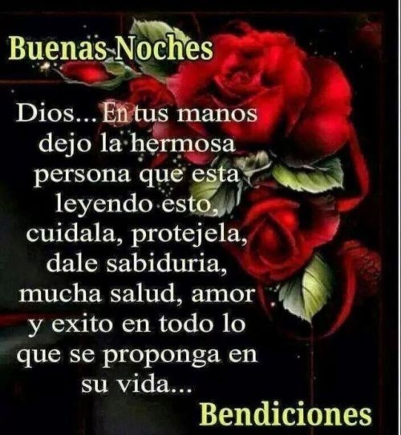 Buenas noches Dios...En tus manos dejo la hermosa persona que esta leyendo esto, cuidala, protejela, dale sabiduria, mucha salud, amor y exito en todo lo que propongaen su vida...Bendiciones