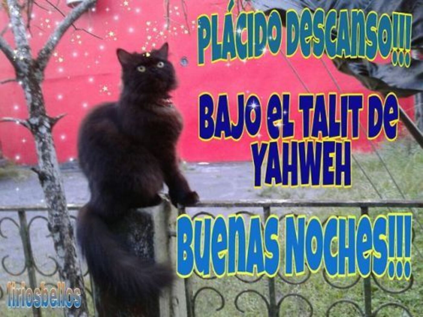 Plácido descanso!! Bajo el talit de yahweh. Buenas noches