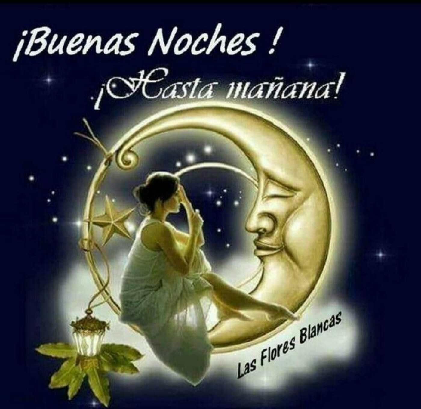 Buenas noches hasta mañana