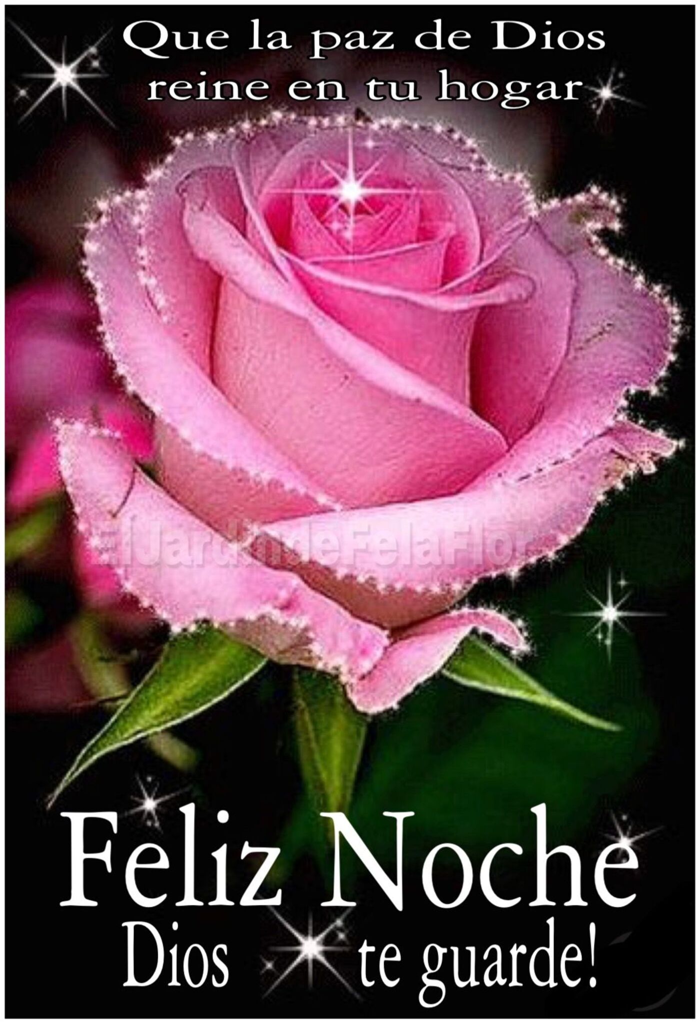 Que la paz de Dios reine en tu hogar! Feliz noche Dios te guarde!