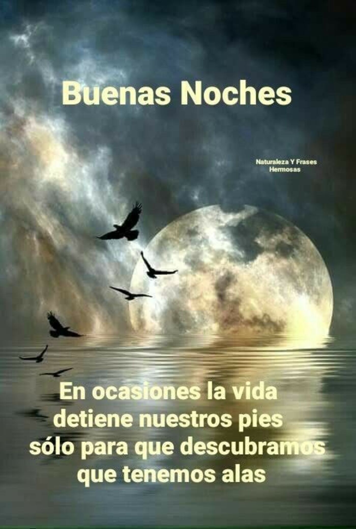 40 Buenas Noches Bellas Imgenes Whatsapp