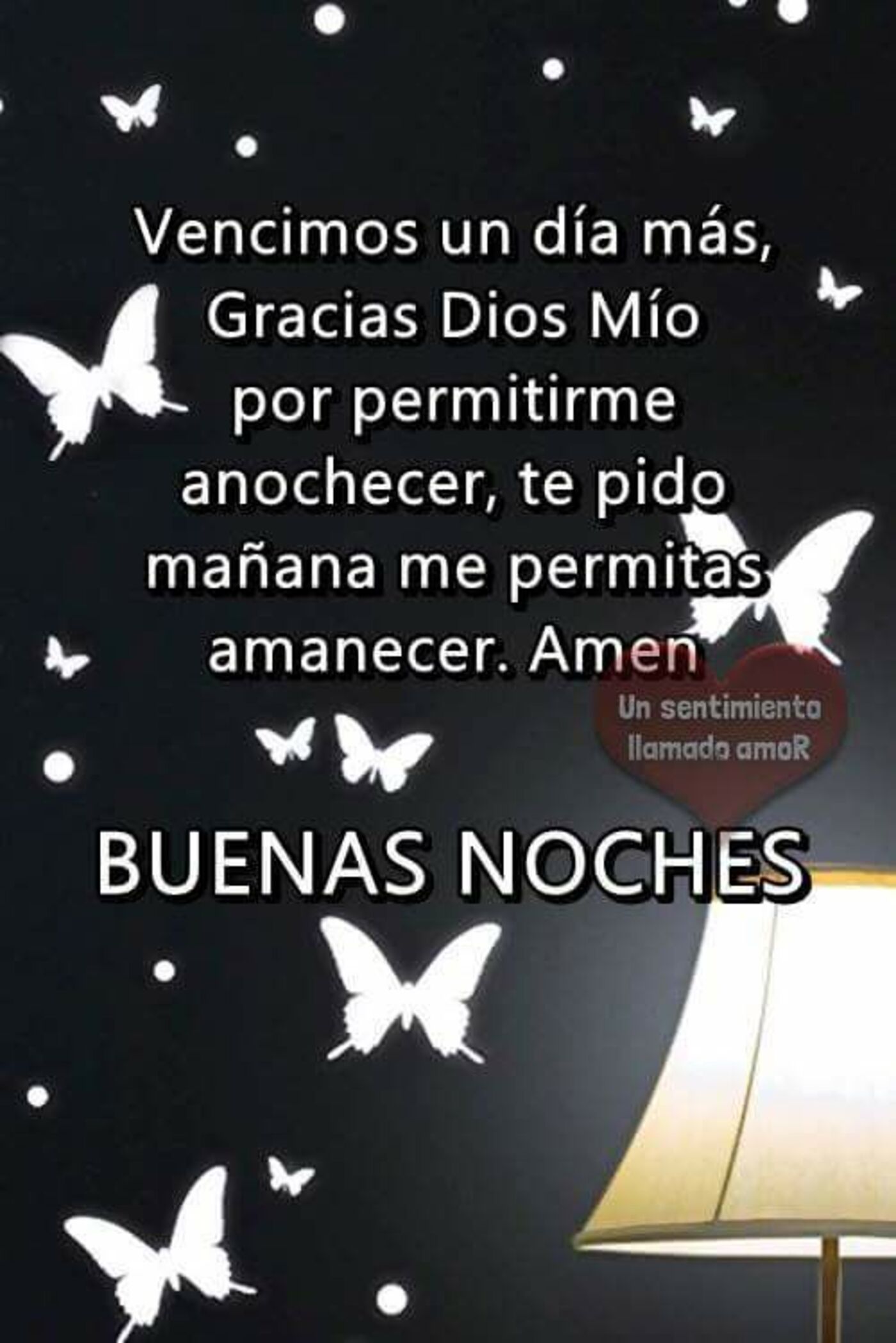 Vencimos un día más, Gracias Dios Mío por permitirme anochecer, te pido mañana me permitas amanecer. Amen...buenas noches