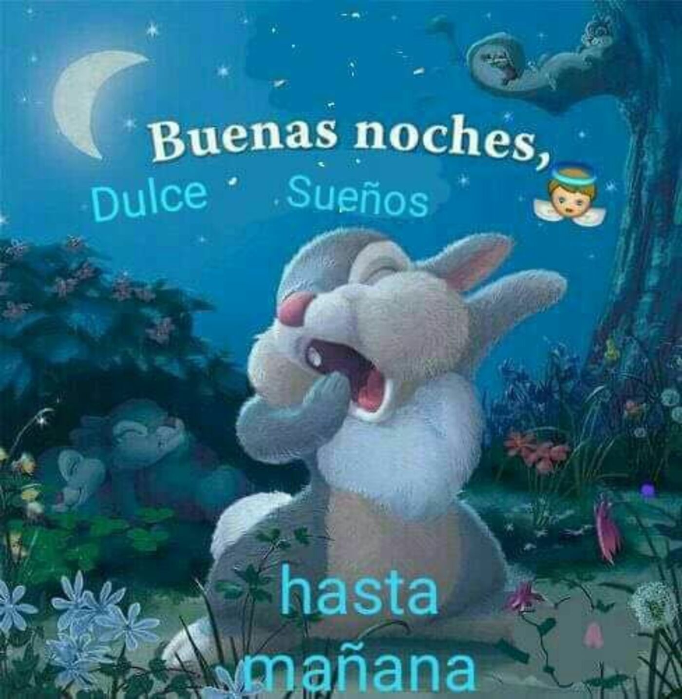 Buenas noches dulce sueños, hasta mañana