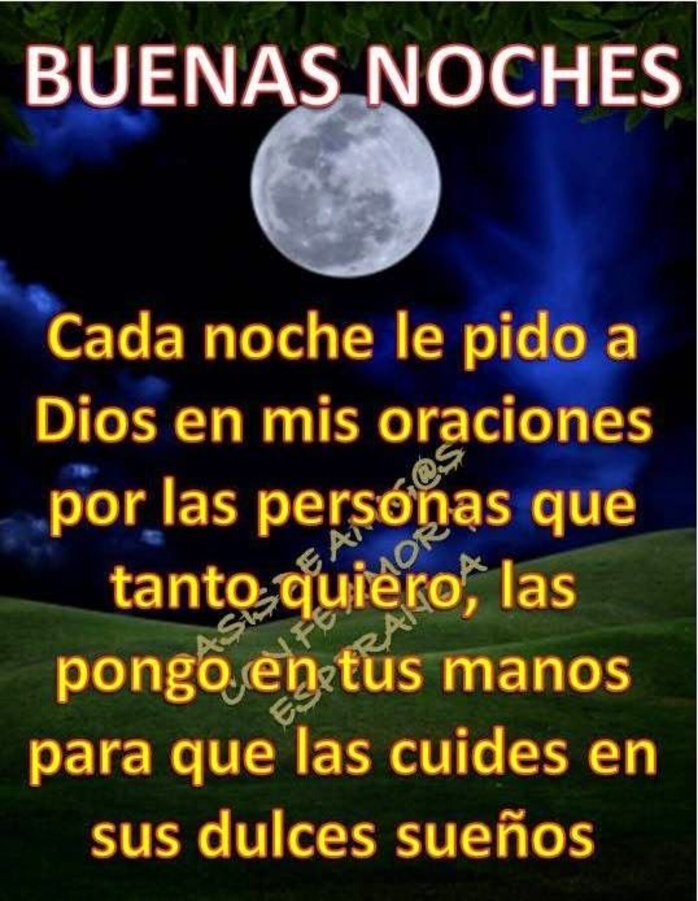 Buenas noches cada noche le pido a Dios en mis oraciones por las personas que tanto quiero, las pongo en tus manos para que las cuides en sus dulces sueños