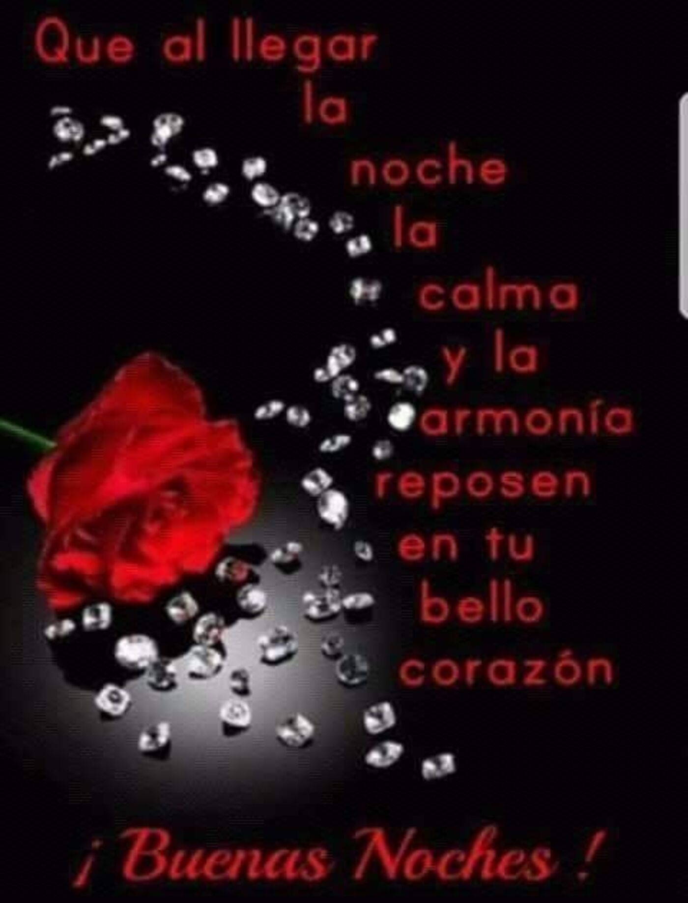 Que al llegar la noche la calma y la armonía reposen en tu bello corazón. ¡Buenas noches!