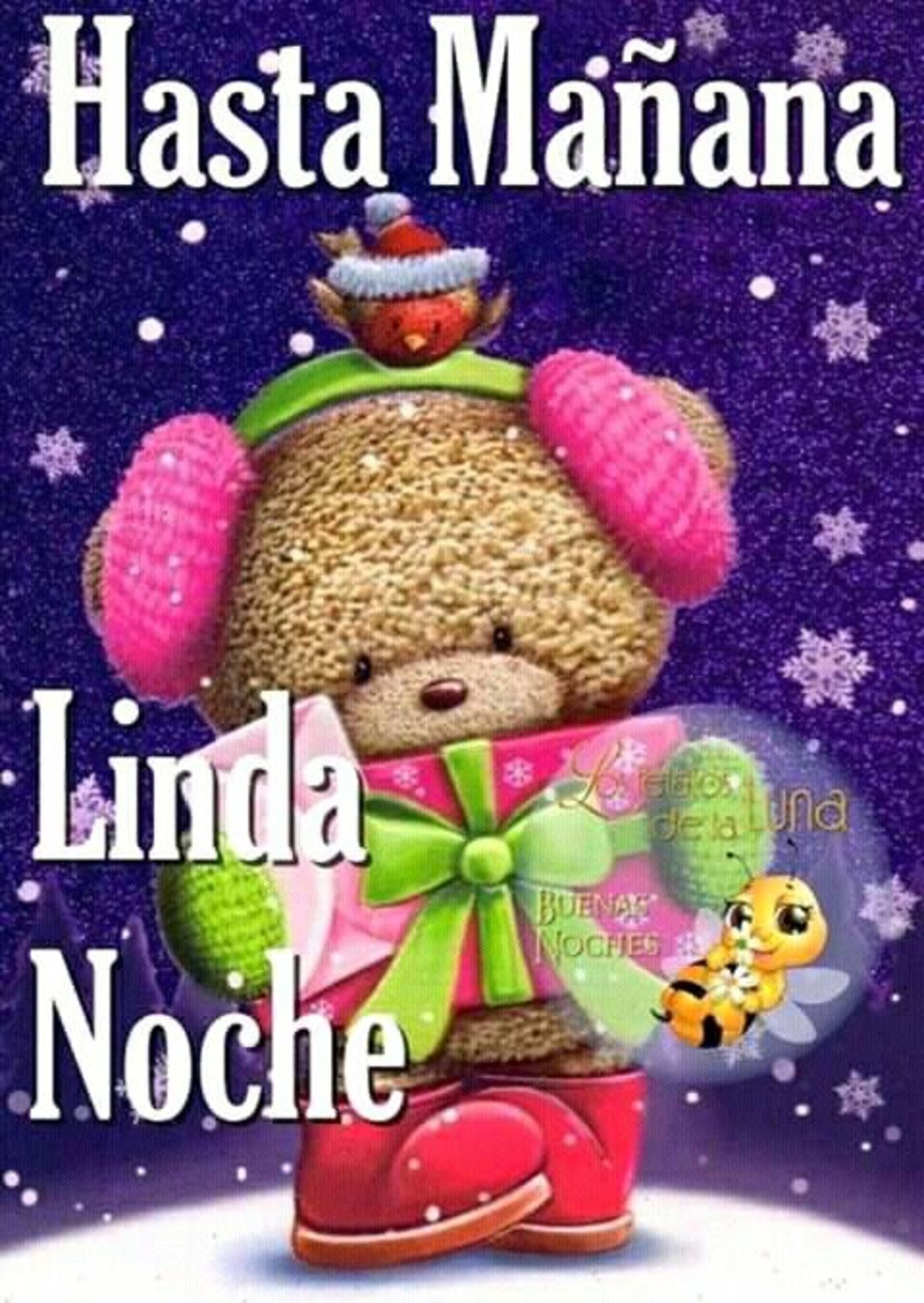 Hasta mañana, Linda Noche