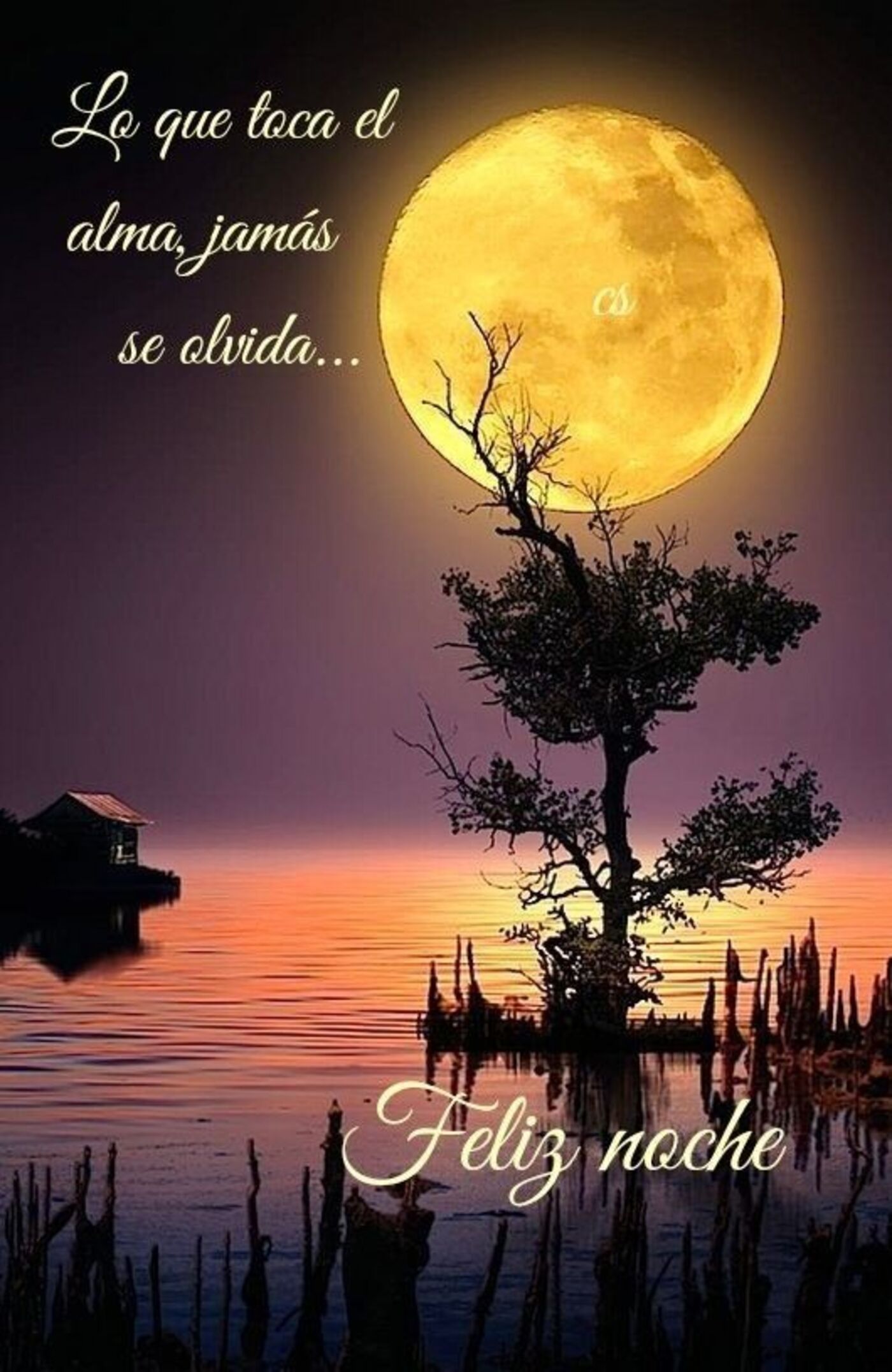 40 Buenas Noches Bellas Im genes WhatsApp HermosasImagenes