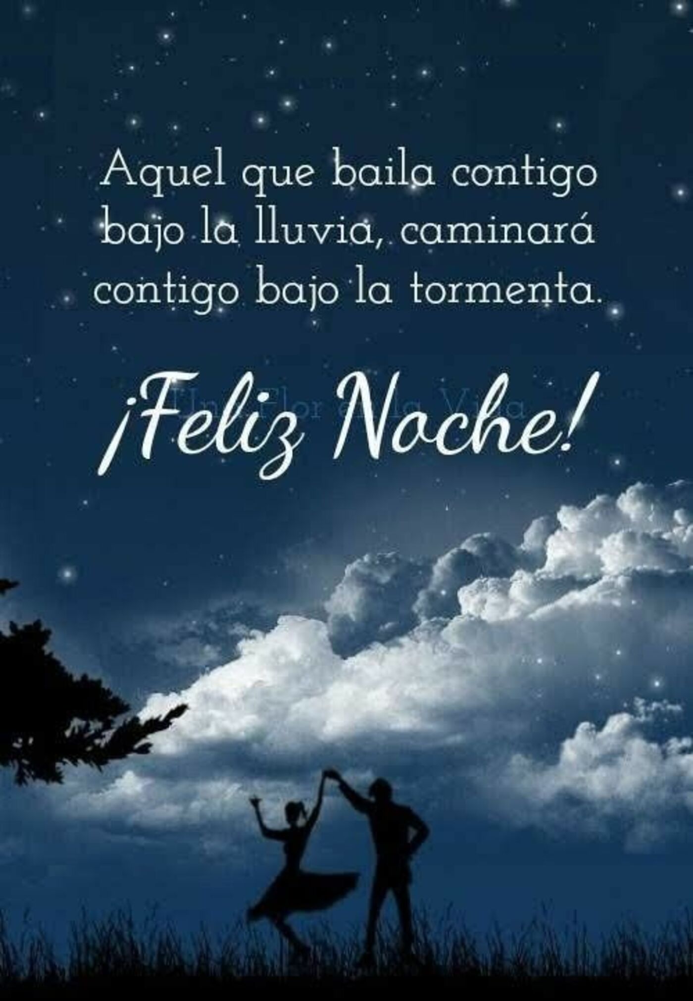 Aquel que baila contigo, bajo la lluvia, caminara contigo bajo la tormenta. Feliz Noche