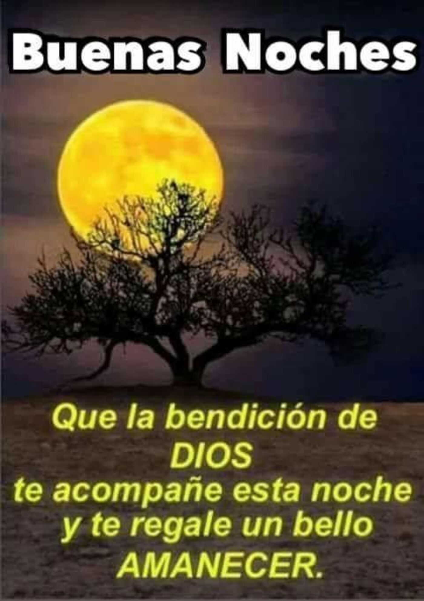 buenas noches que dios te bendiga