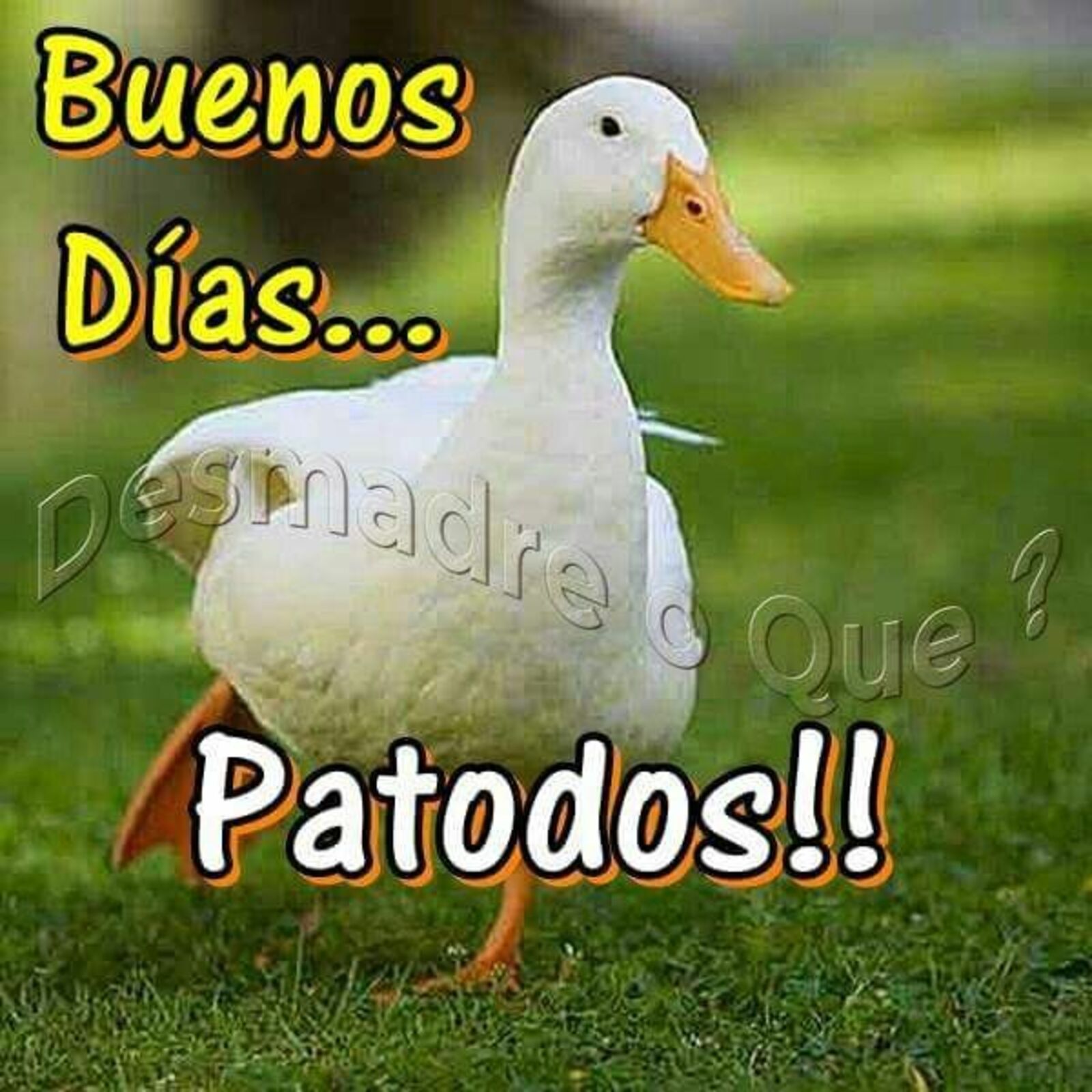 49+ Hermosas imágenes para Buenos Días 49+ Hermosas imágenes para Buenos Días